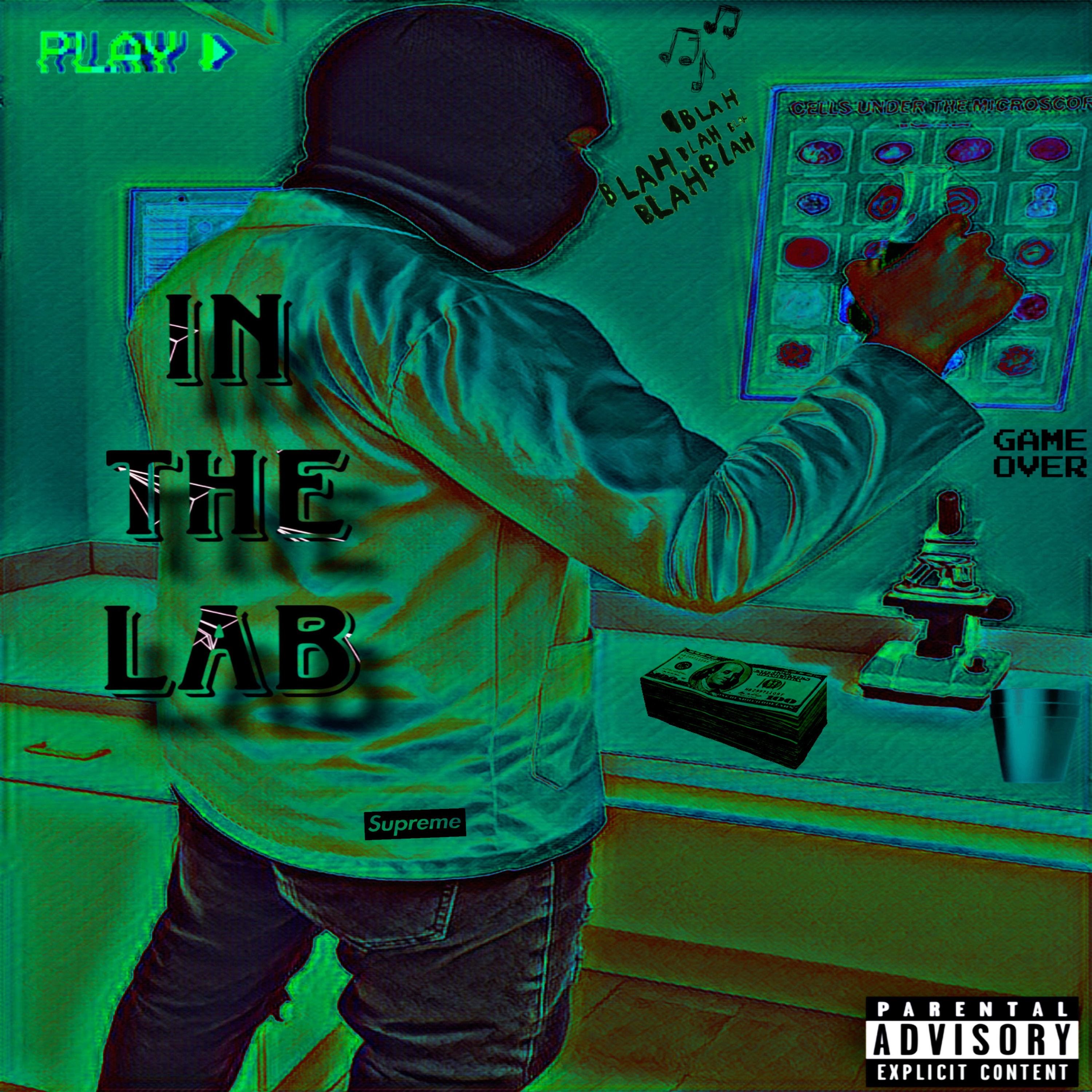 IN THE LAB artwork