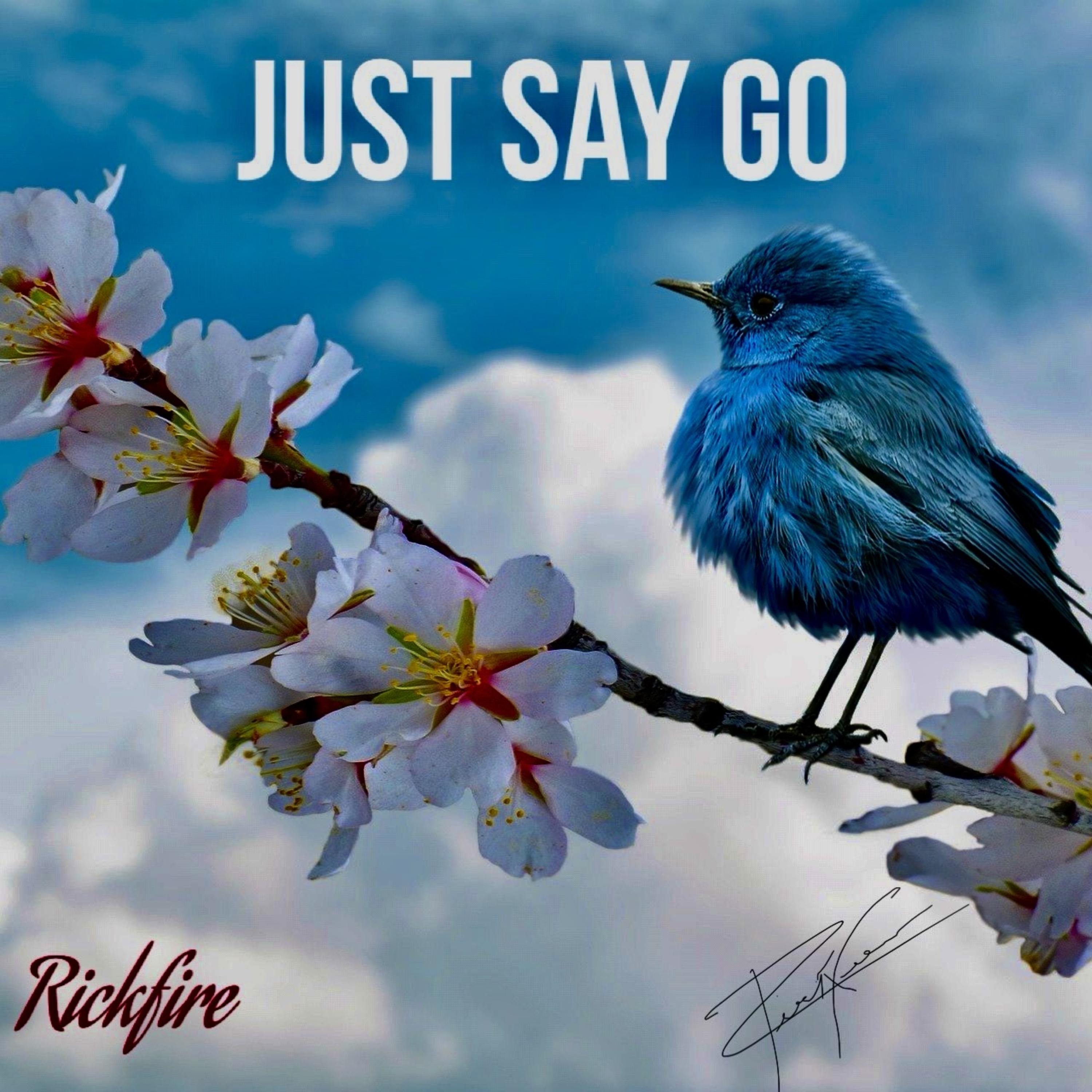 Just Say Go artwork