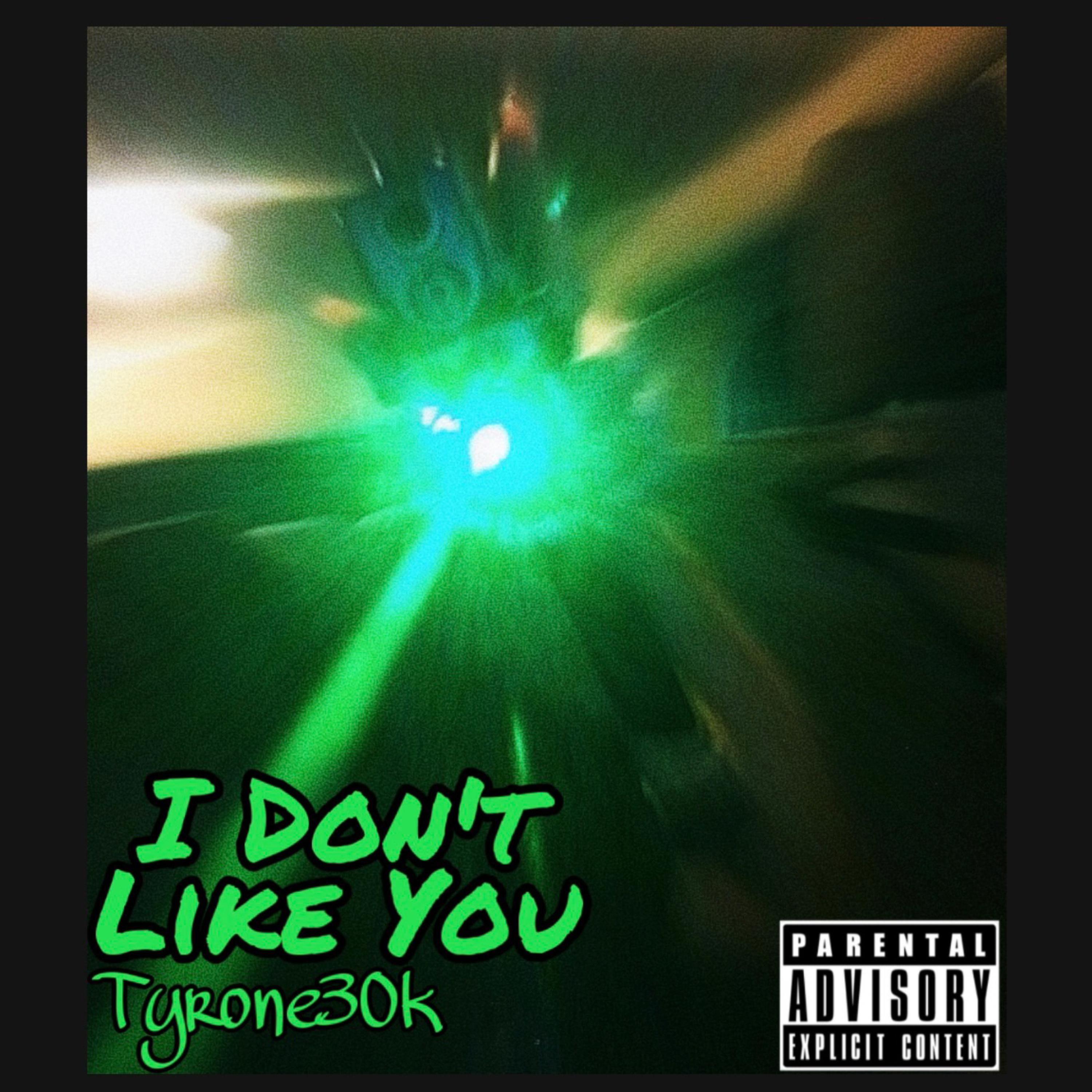 I Dont Like You artwork