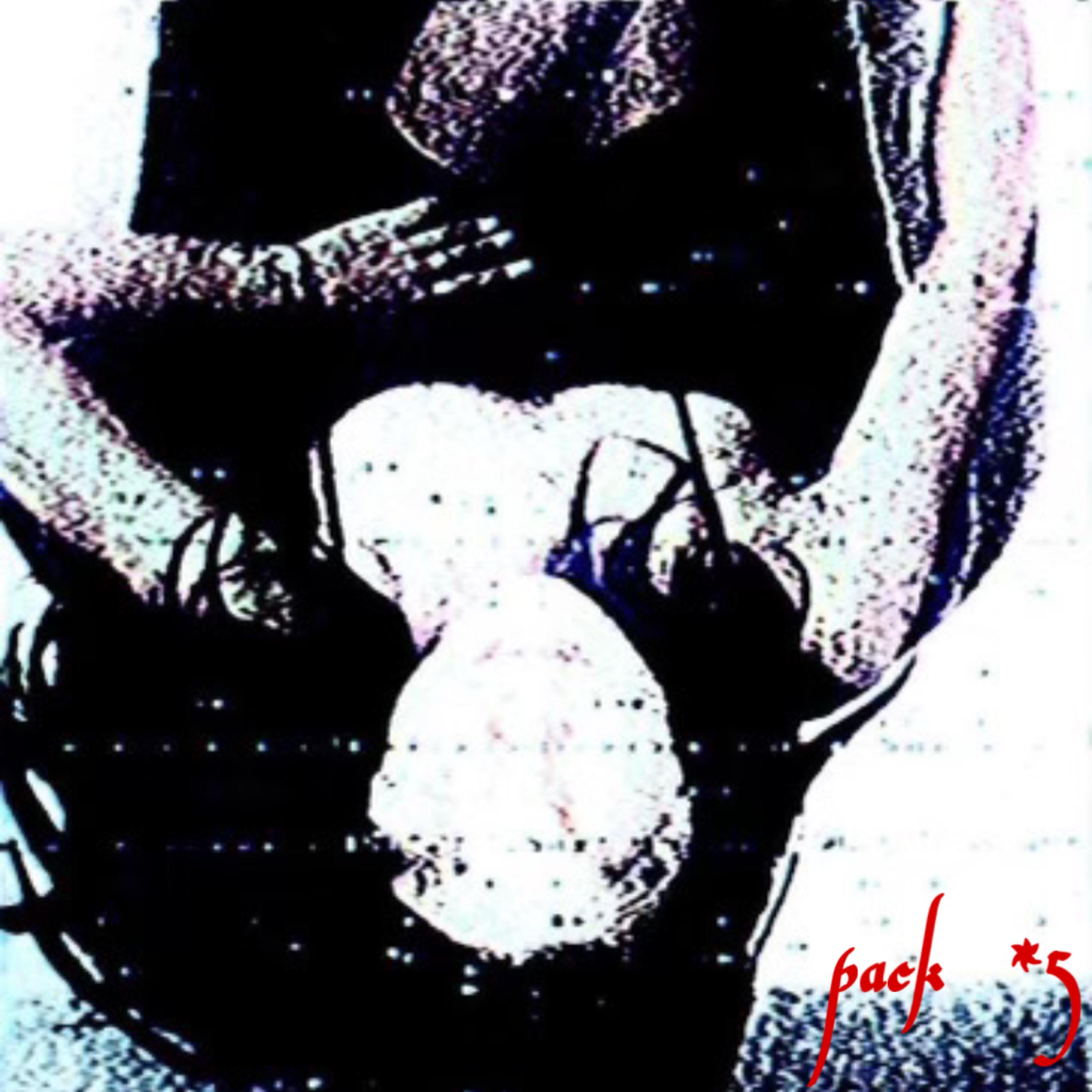 pack *5 artwork