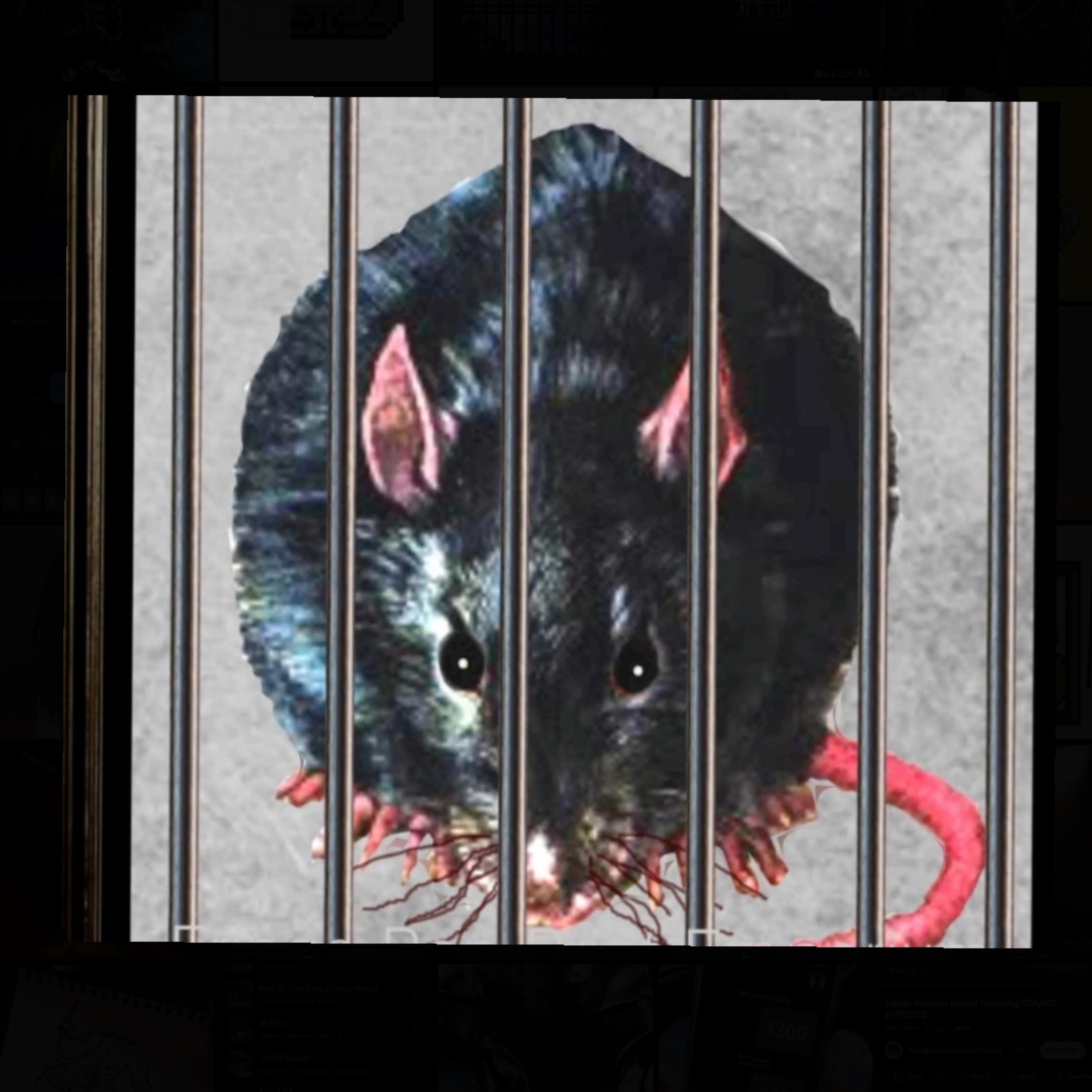 Fuck rats artwork