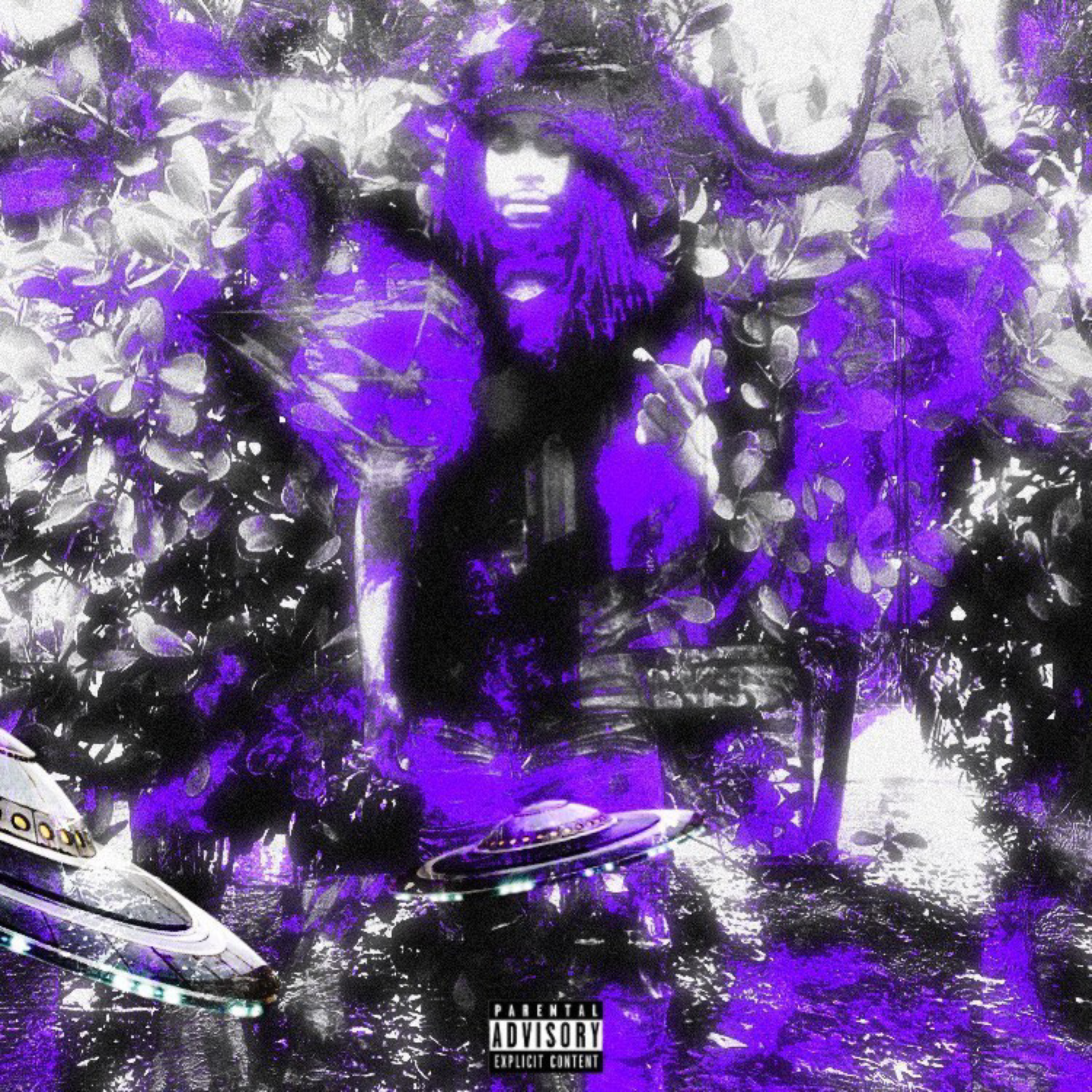 IN THE TRAP ! artwork