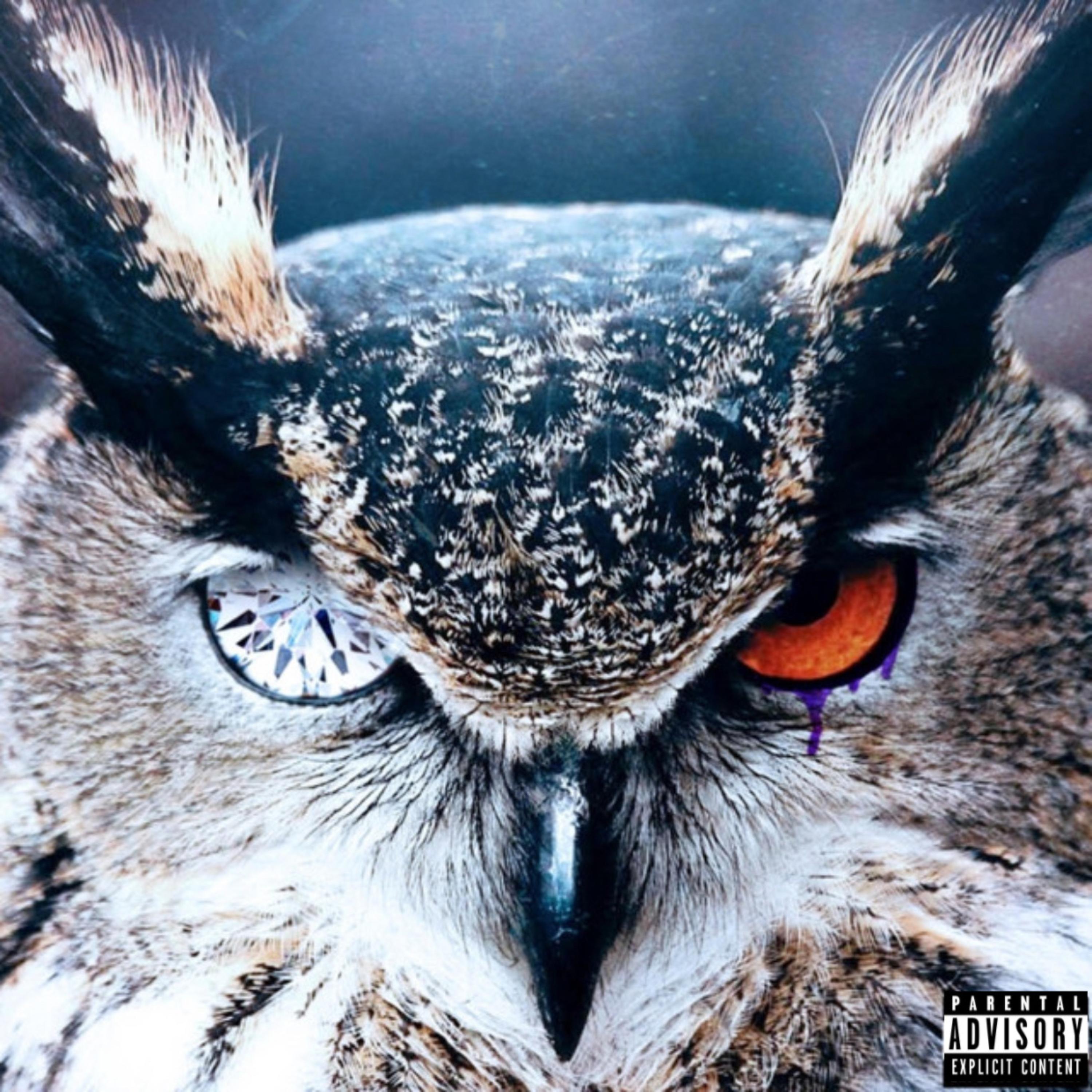 Hanging With Wolves artwork