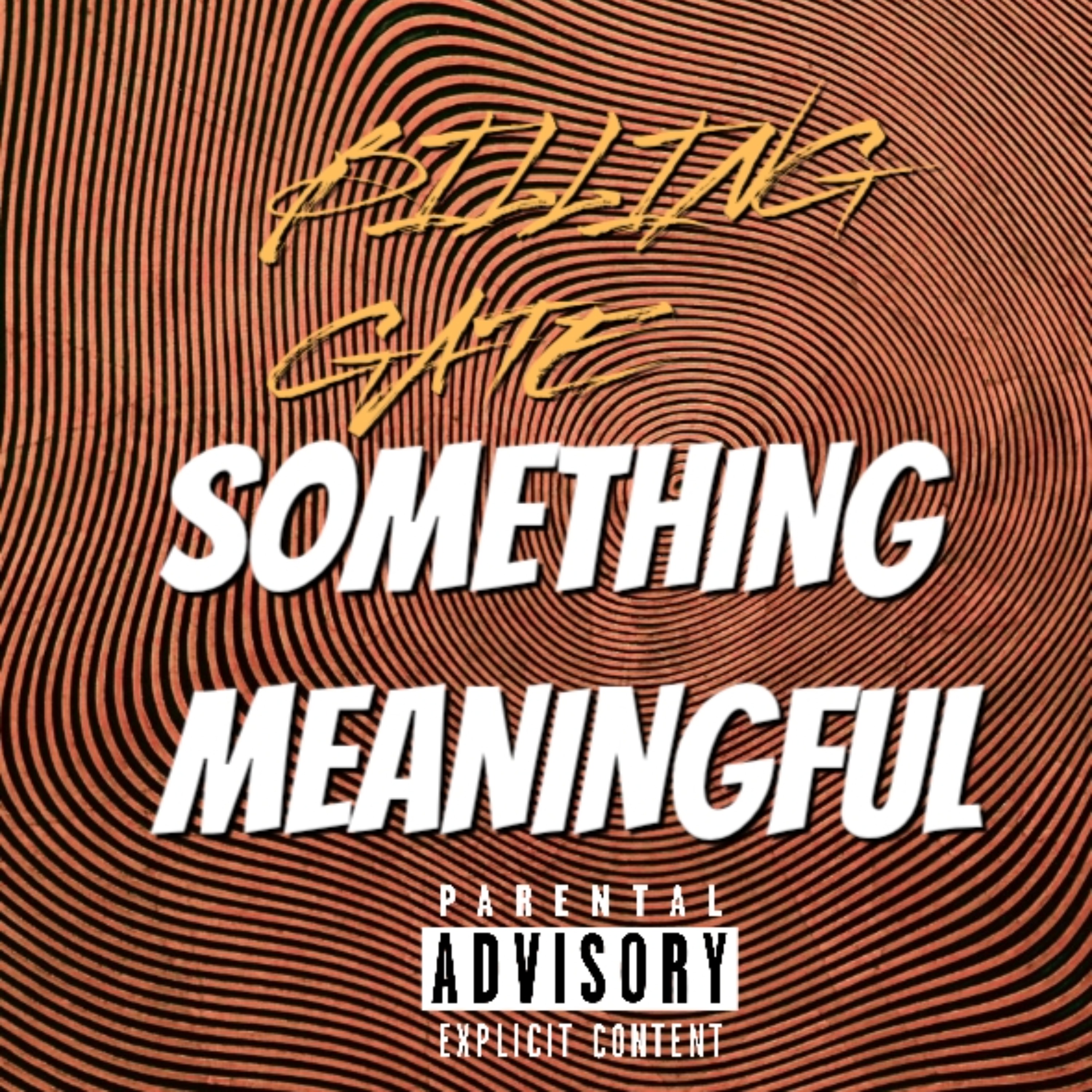 SOMETHING MEANINGFUL artwork