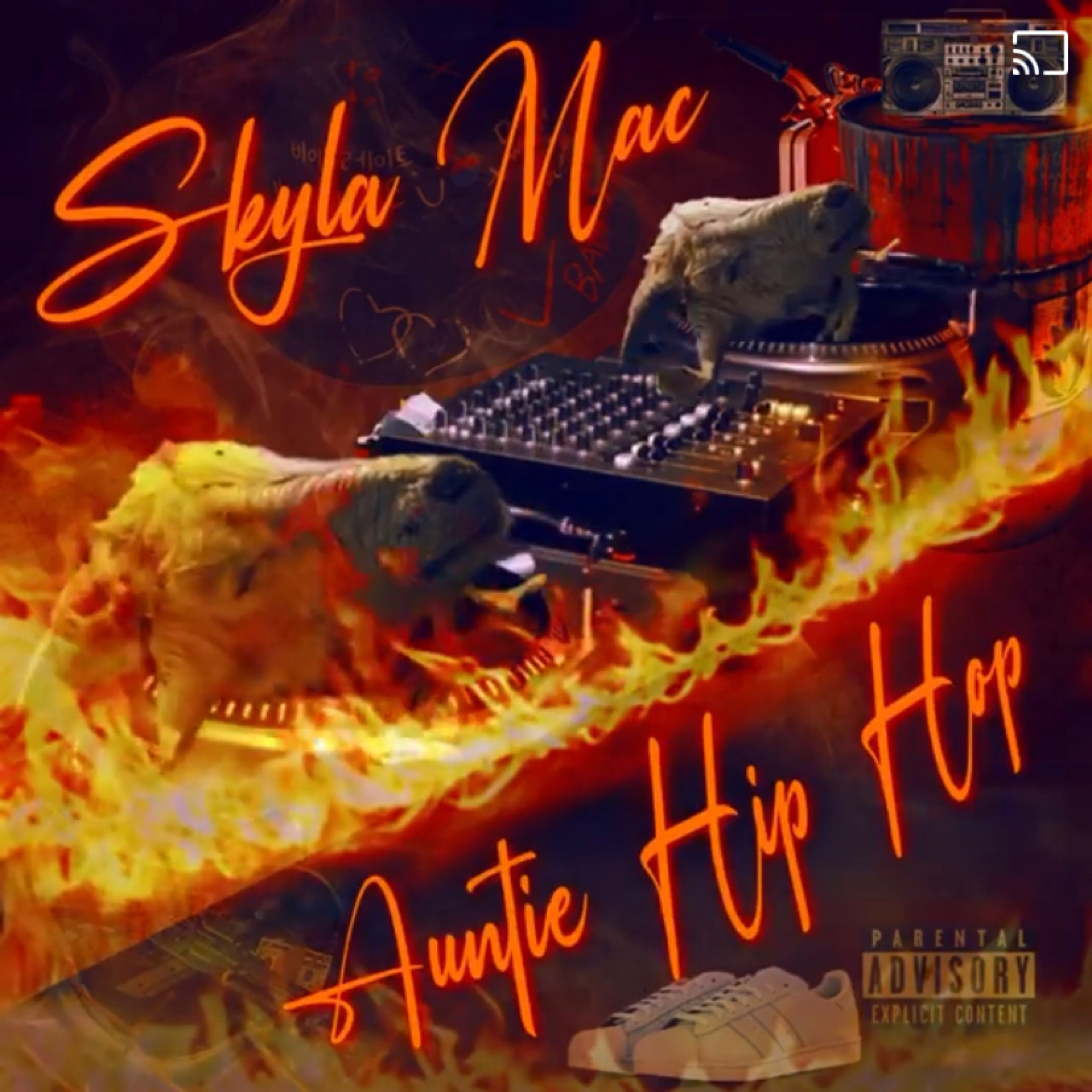 Auntie Hip Hop artwork