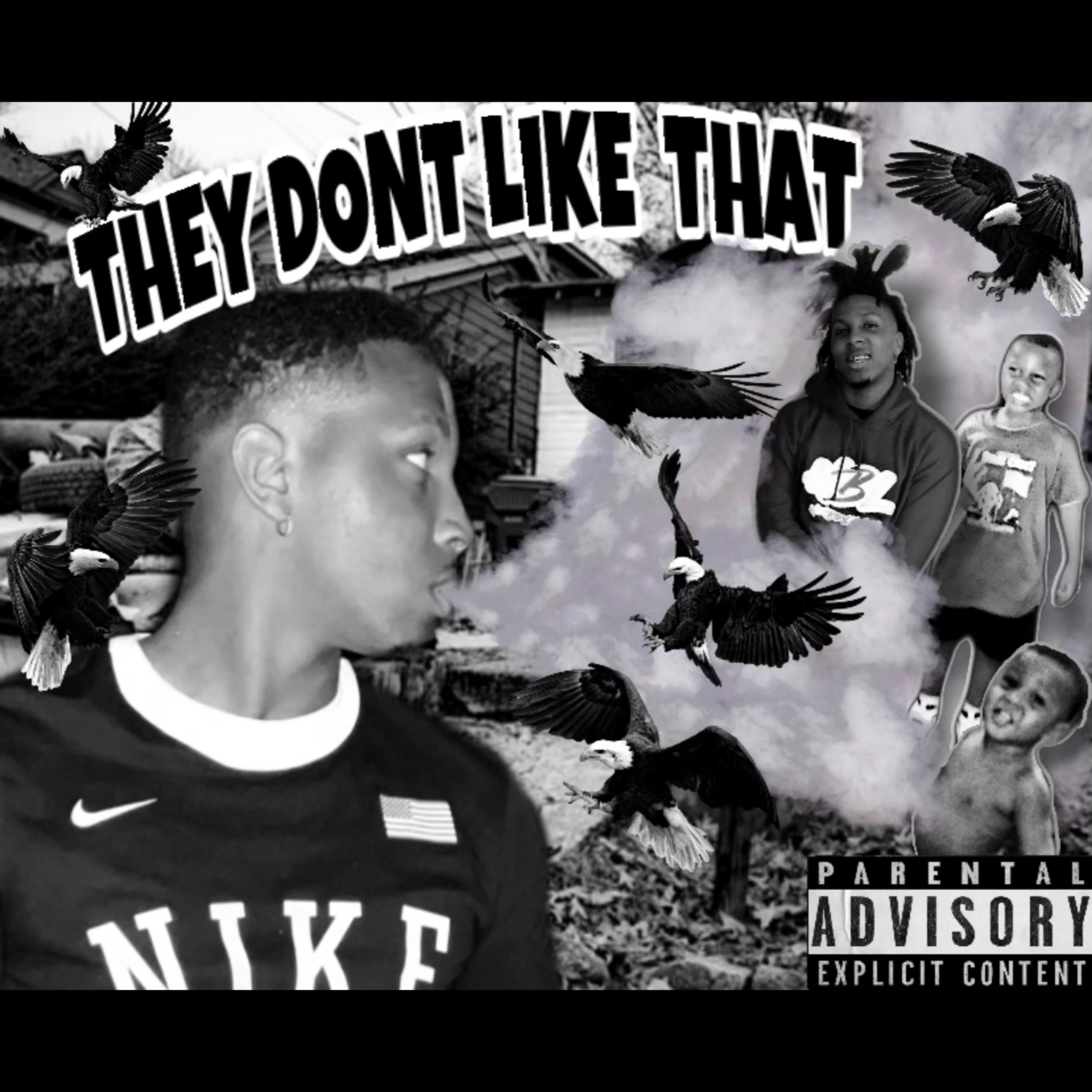 They Dont Like That (Freestyle) artwork