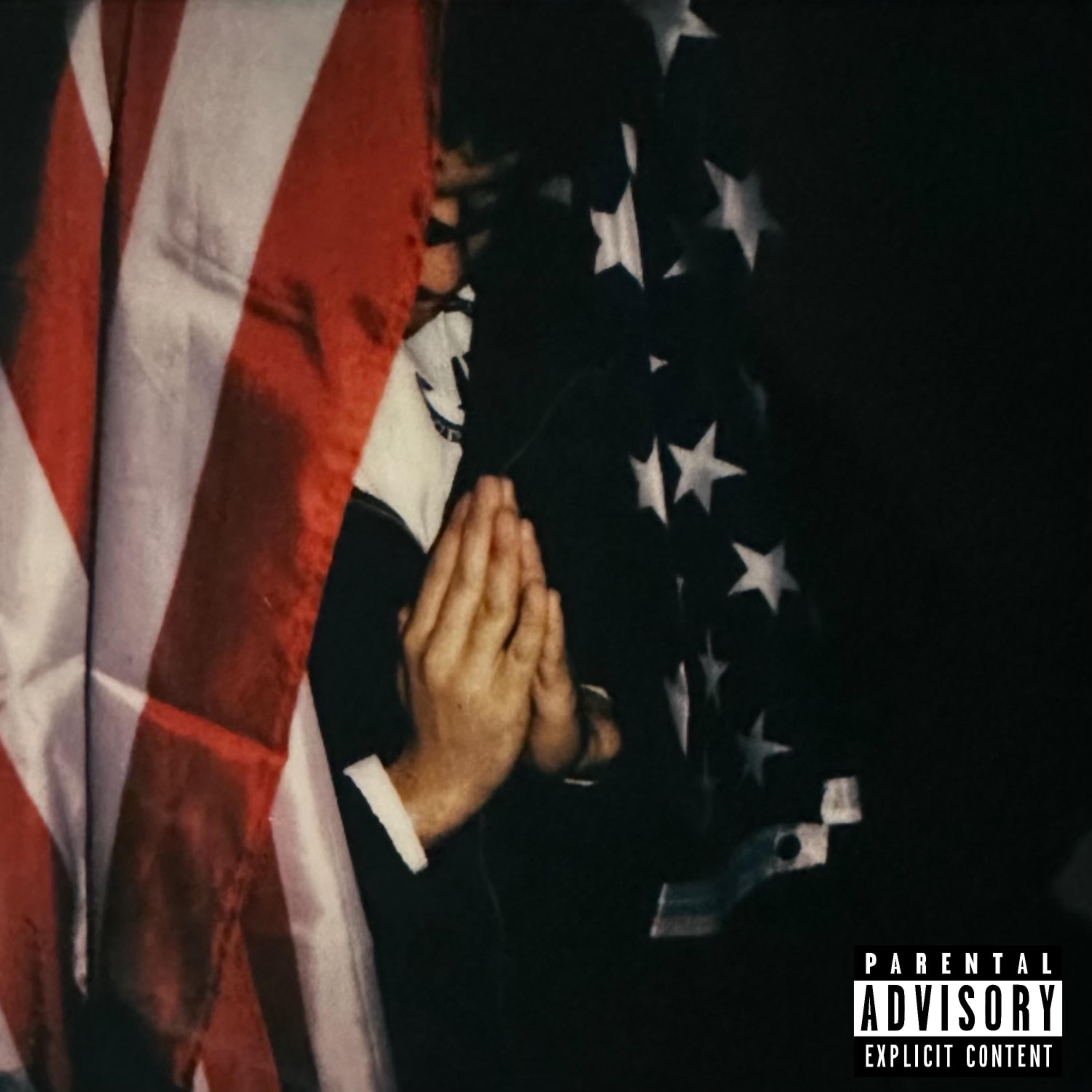 Pledge Your Allegiance artwork