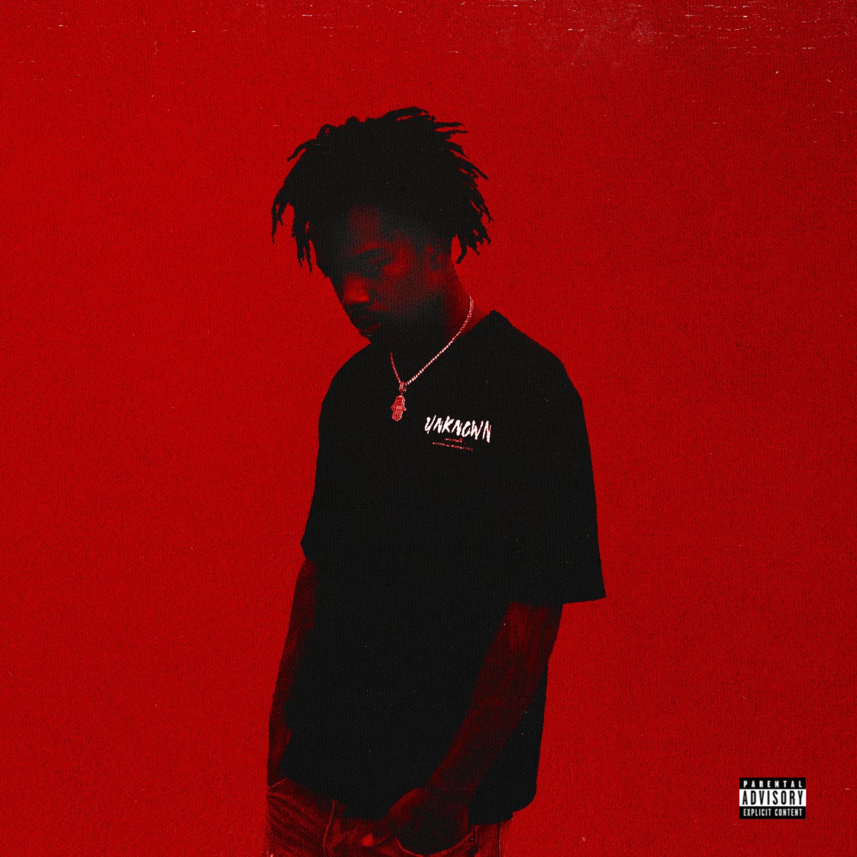 SCARS artwork