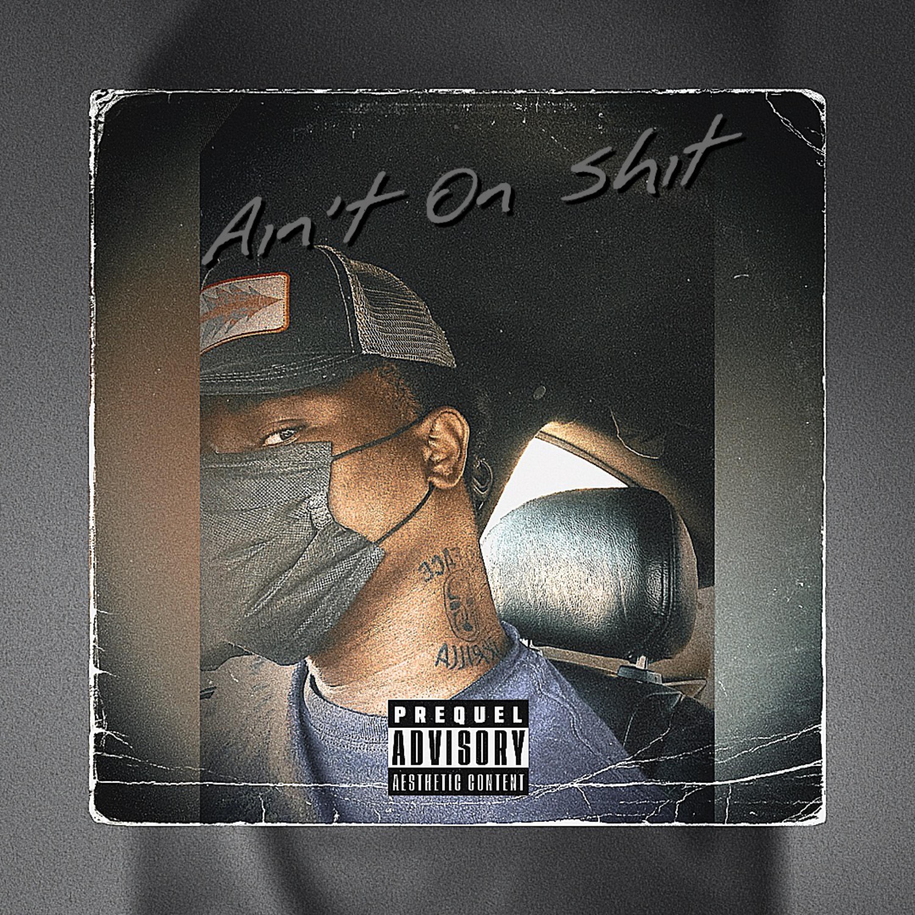Aint On Shit artwork