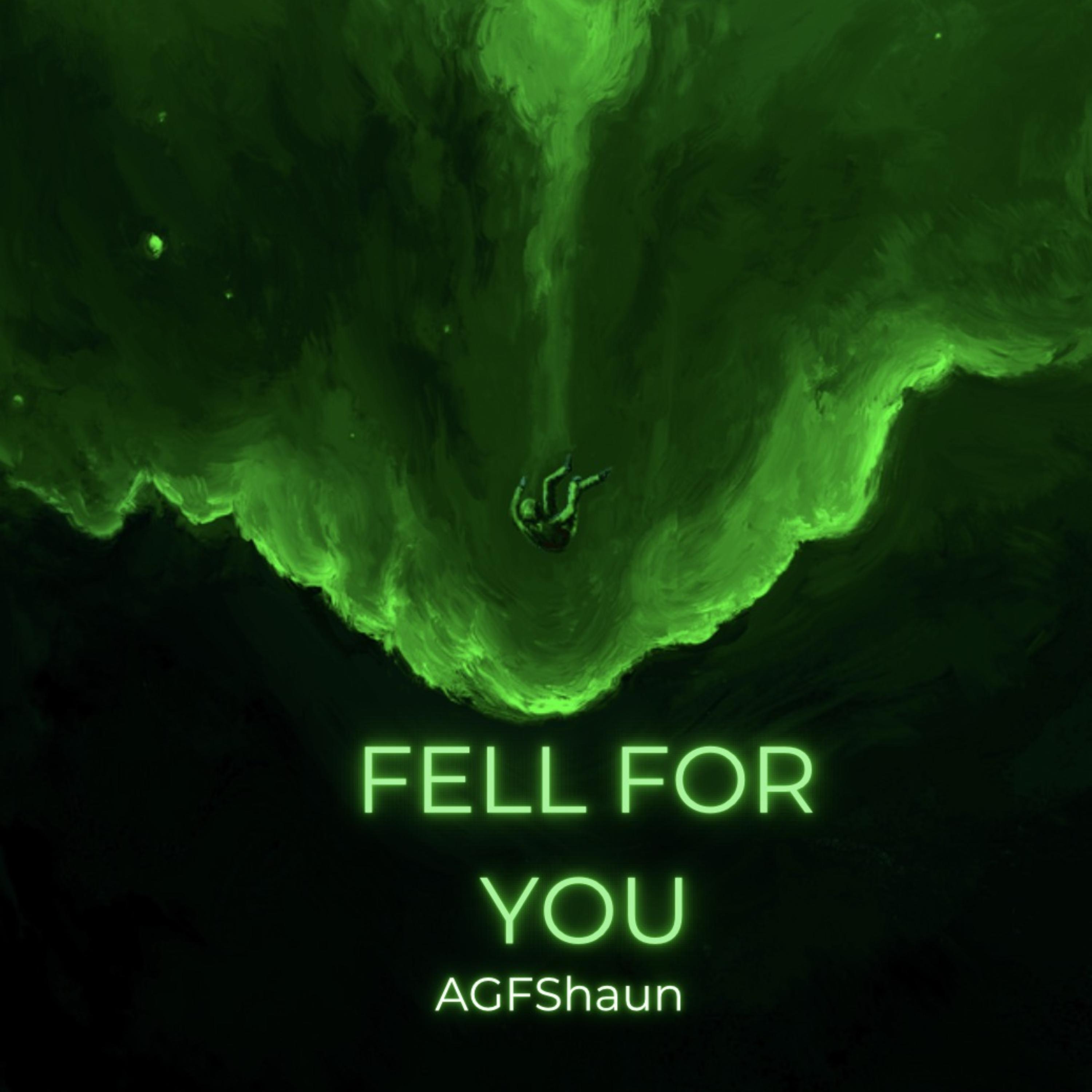 Fell For You artwork