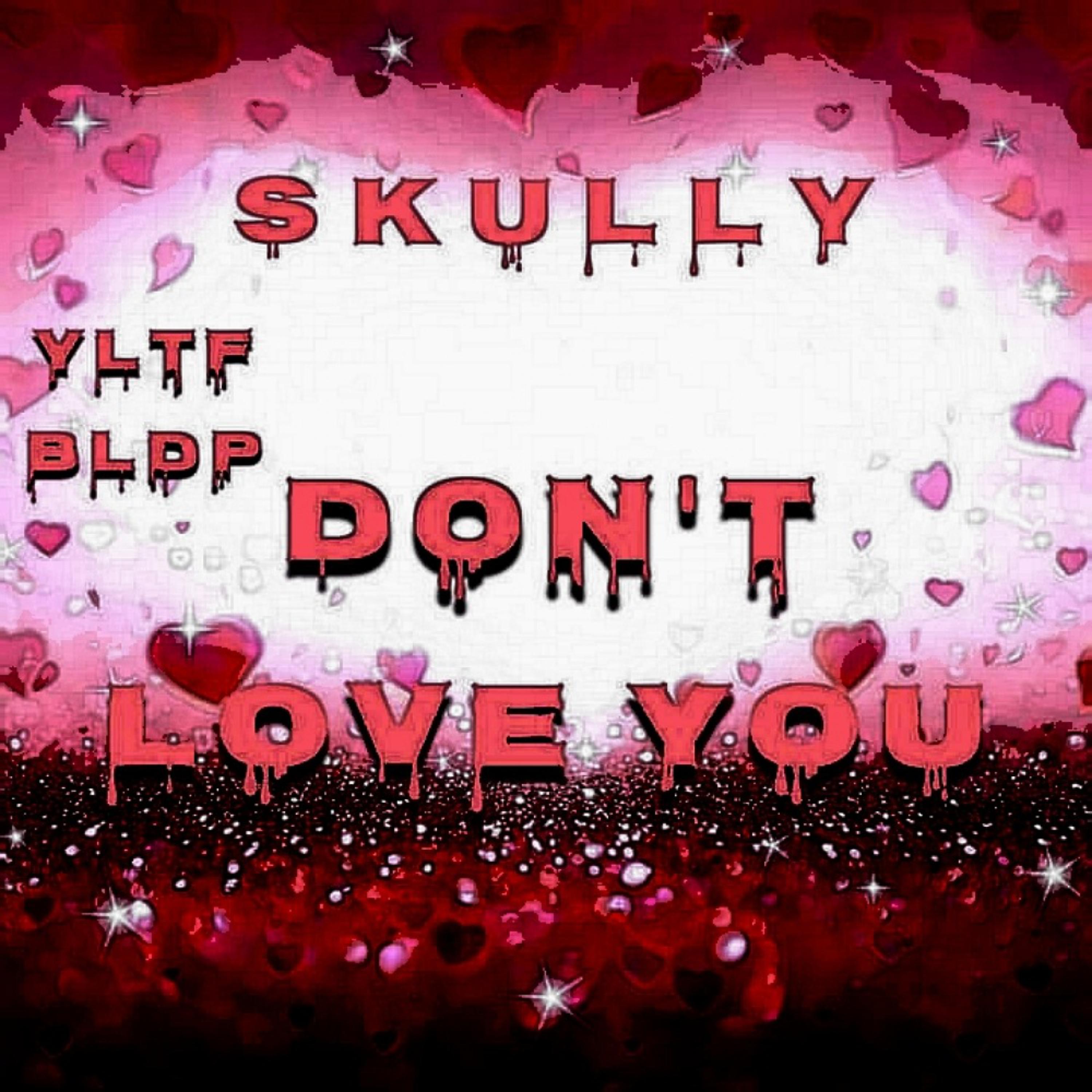 don't Love You artwork