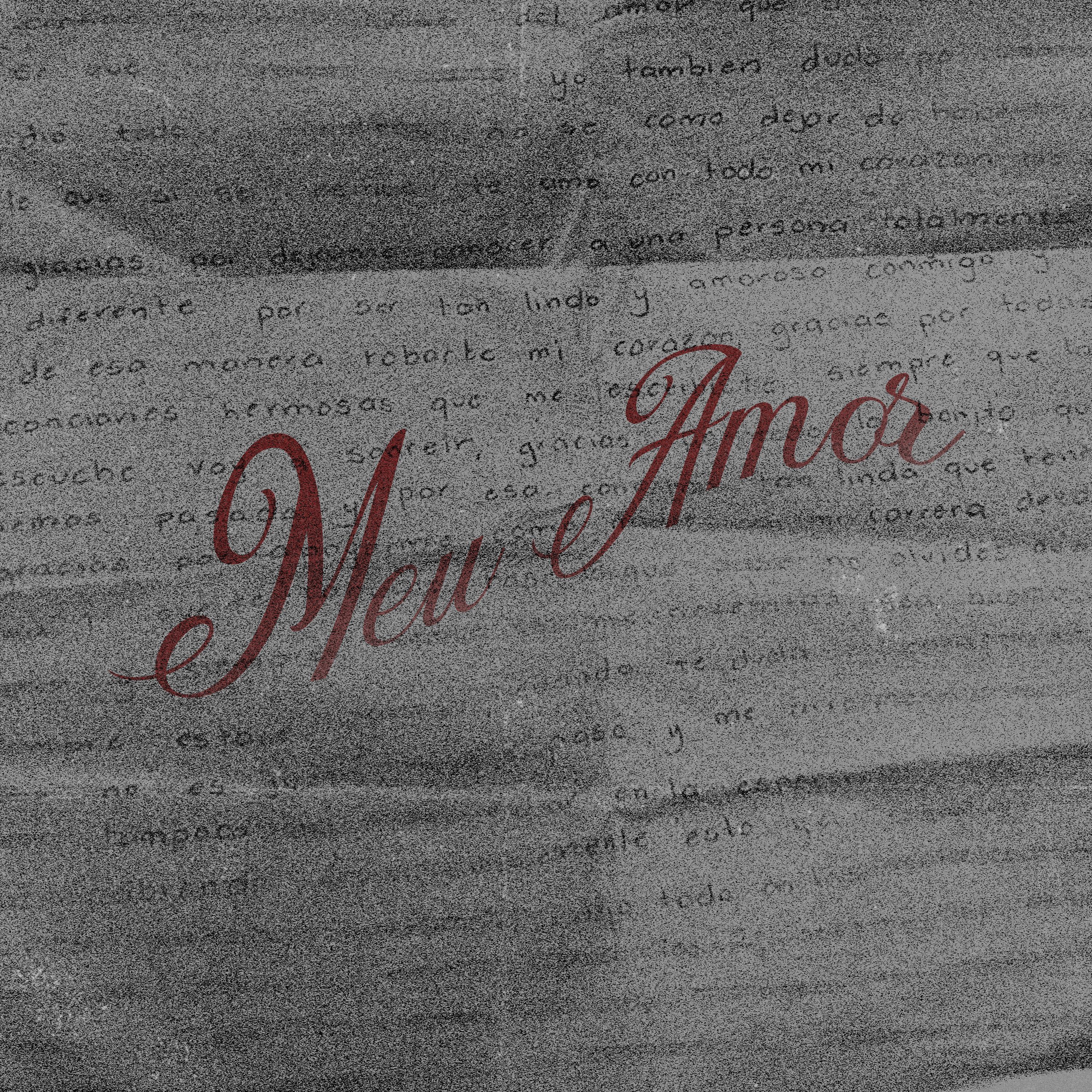 MEU AMOR artwork