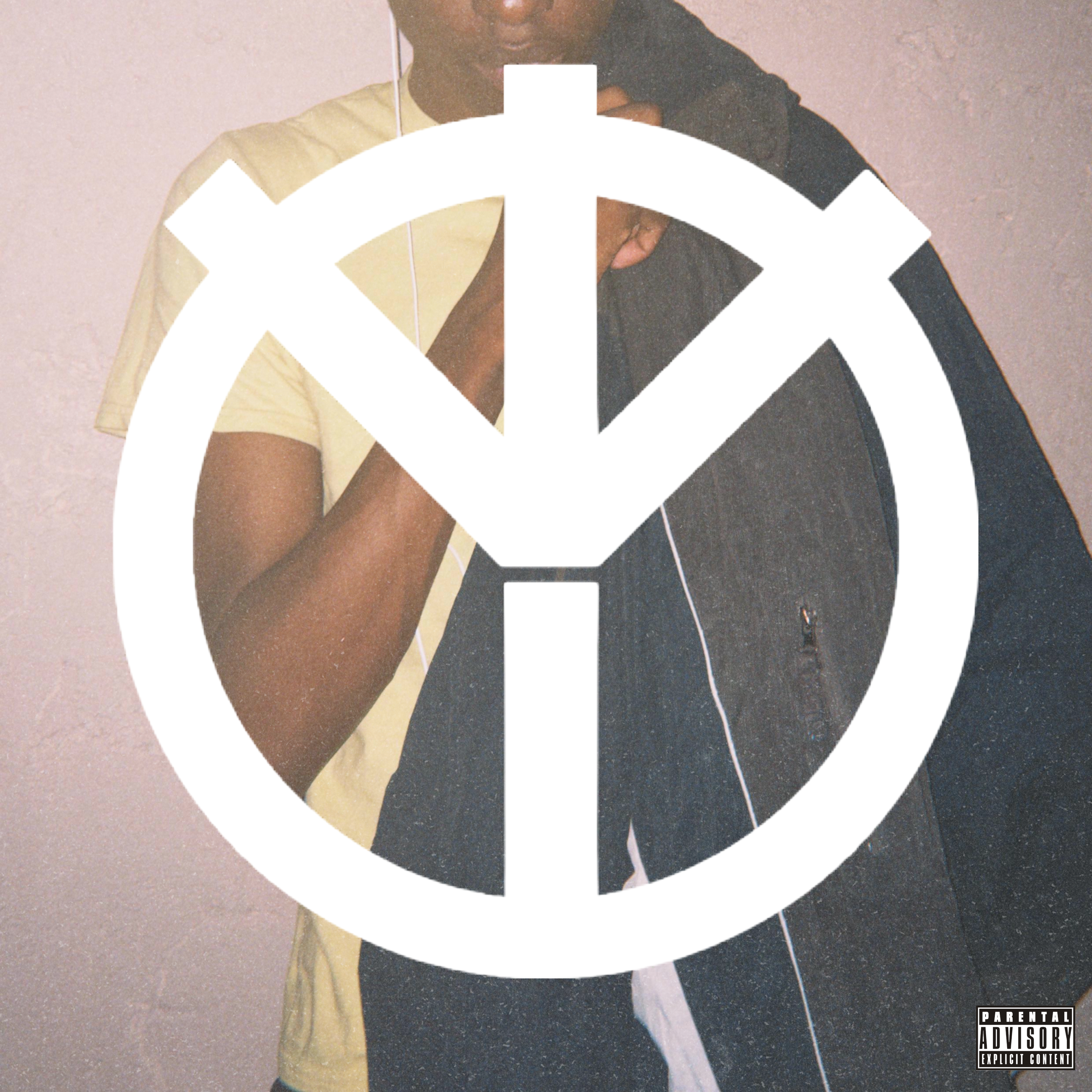 Year Of The 6 by intrusivewillows cover art