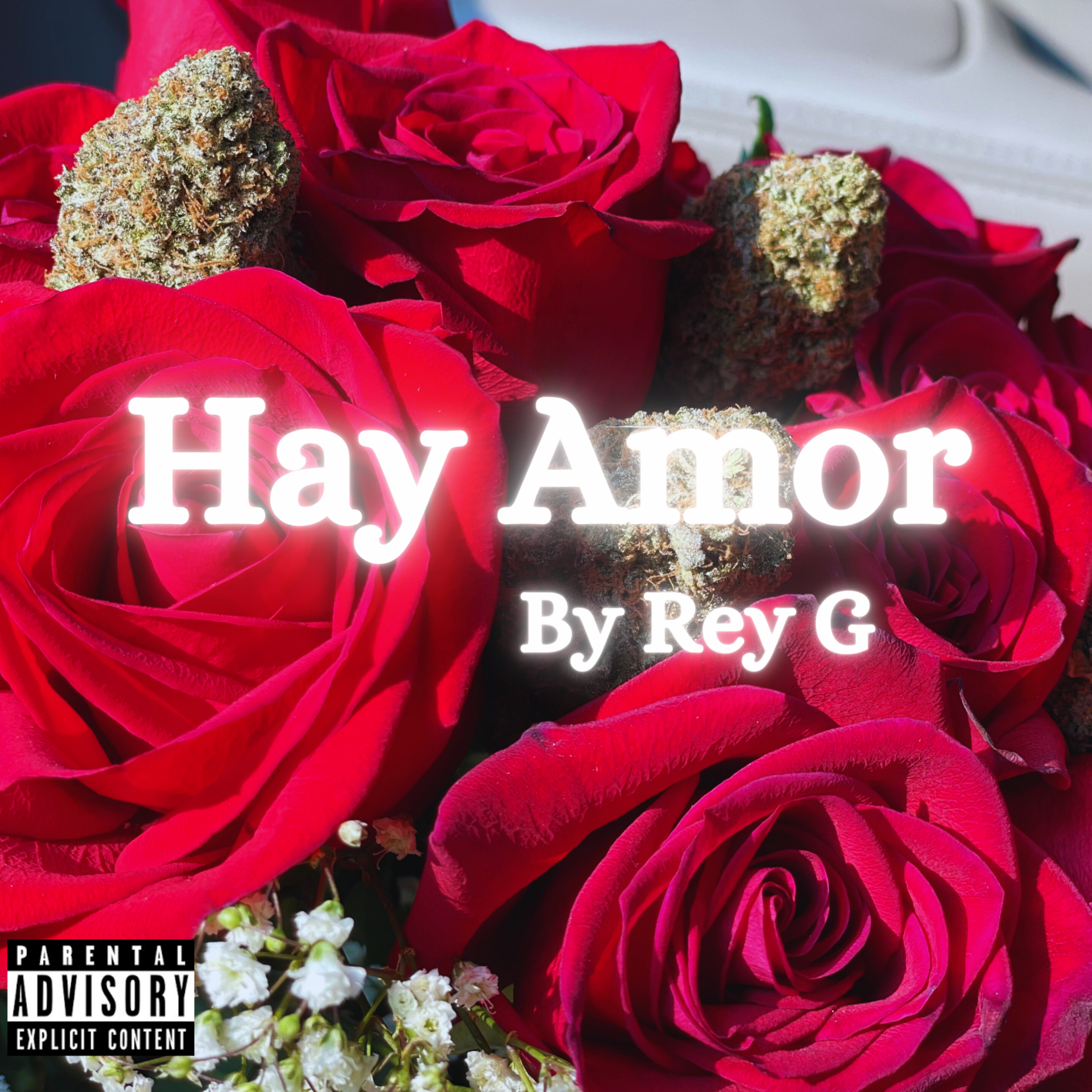Hay Amor artwork