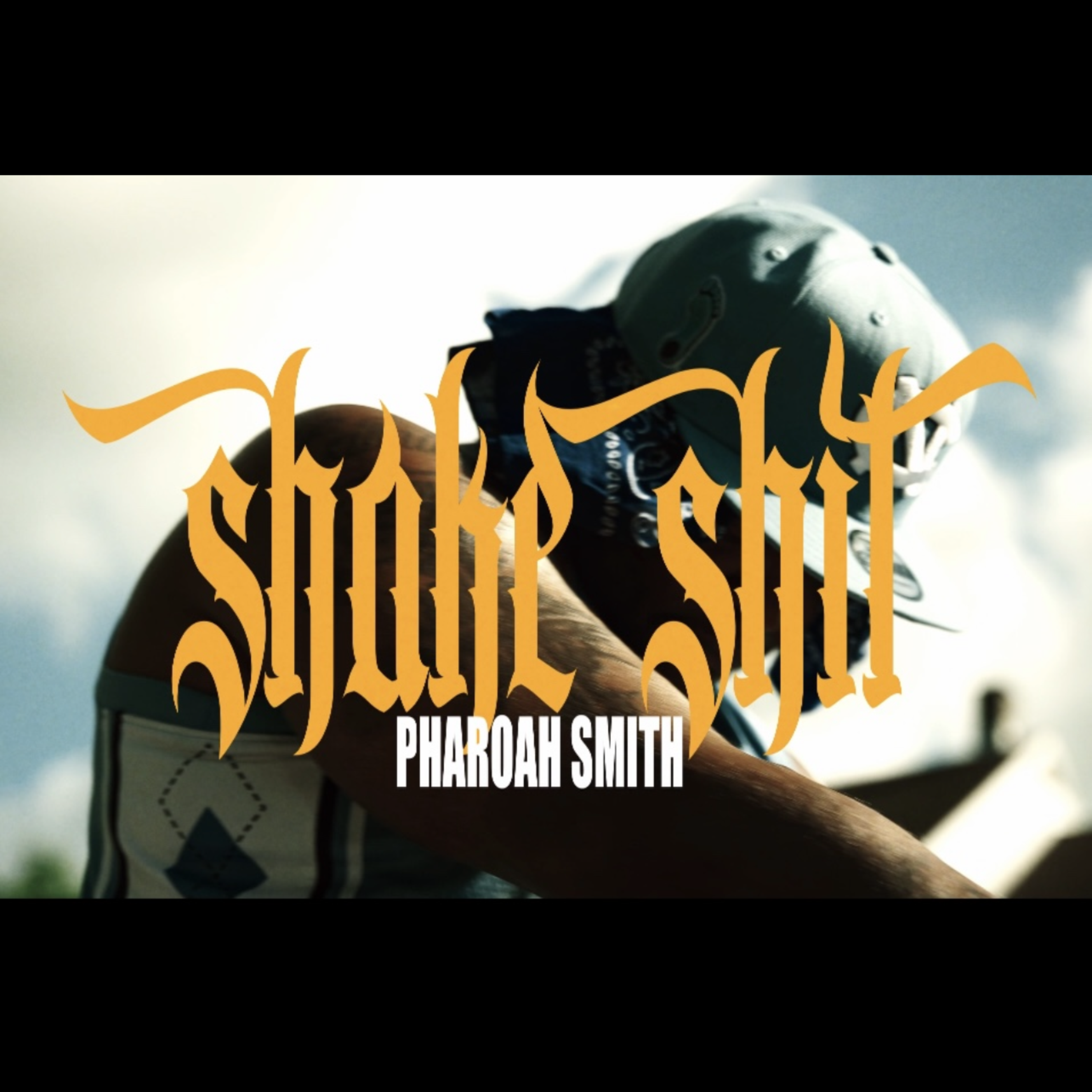 Shake Shit artwork