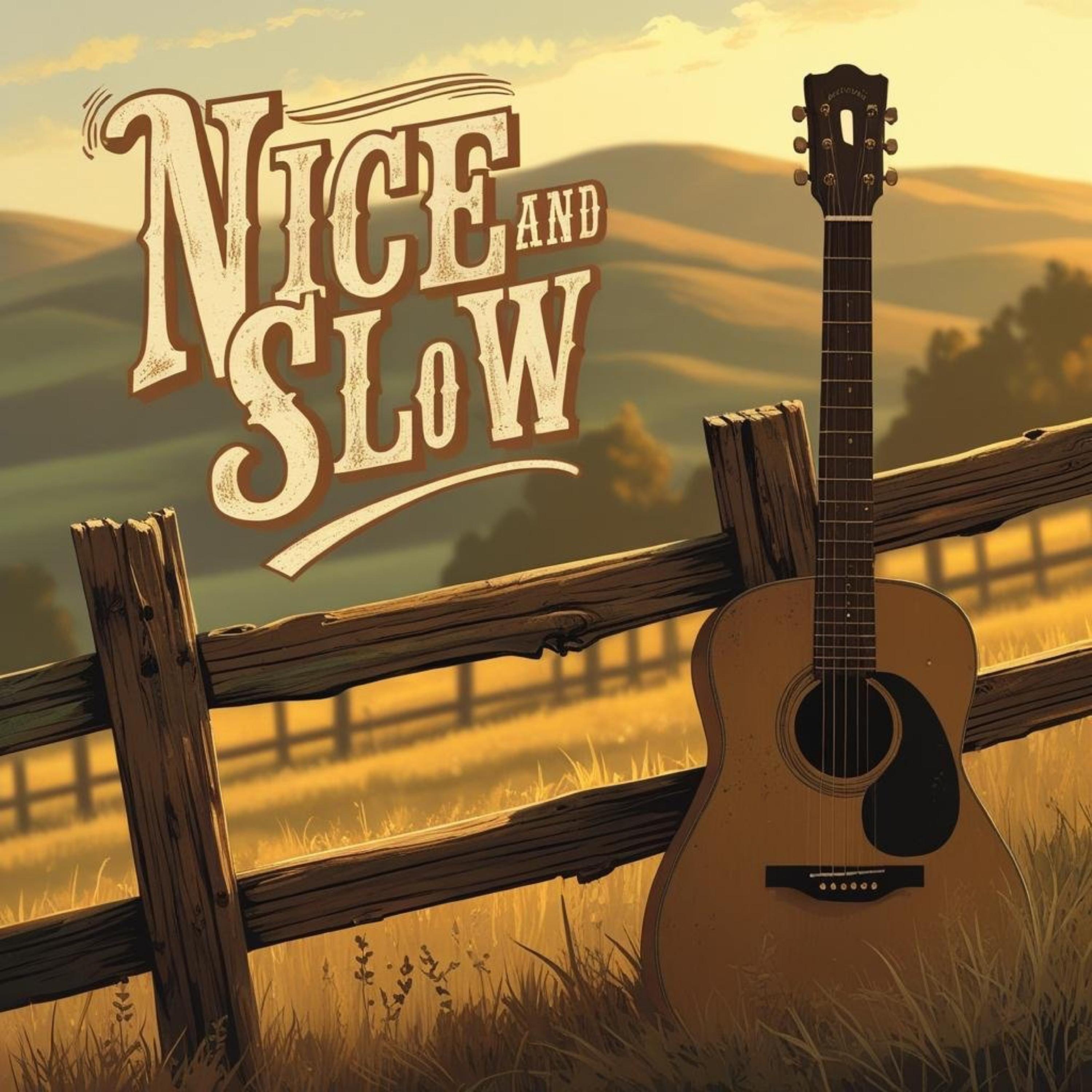 Nice and Slow artwork