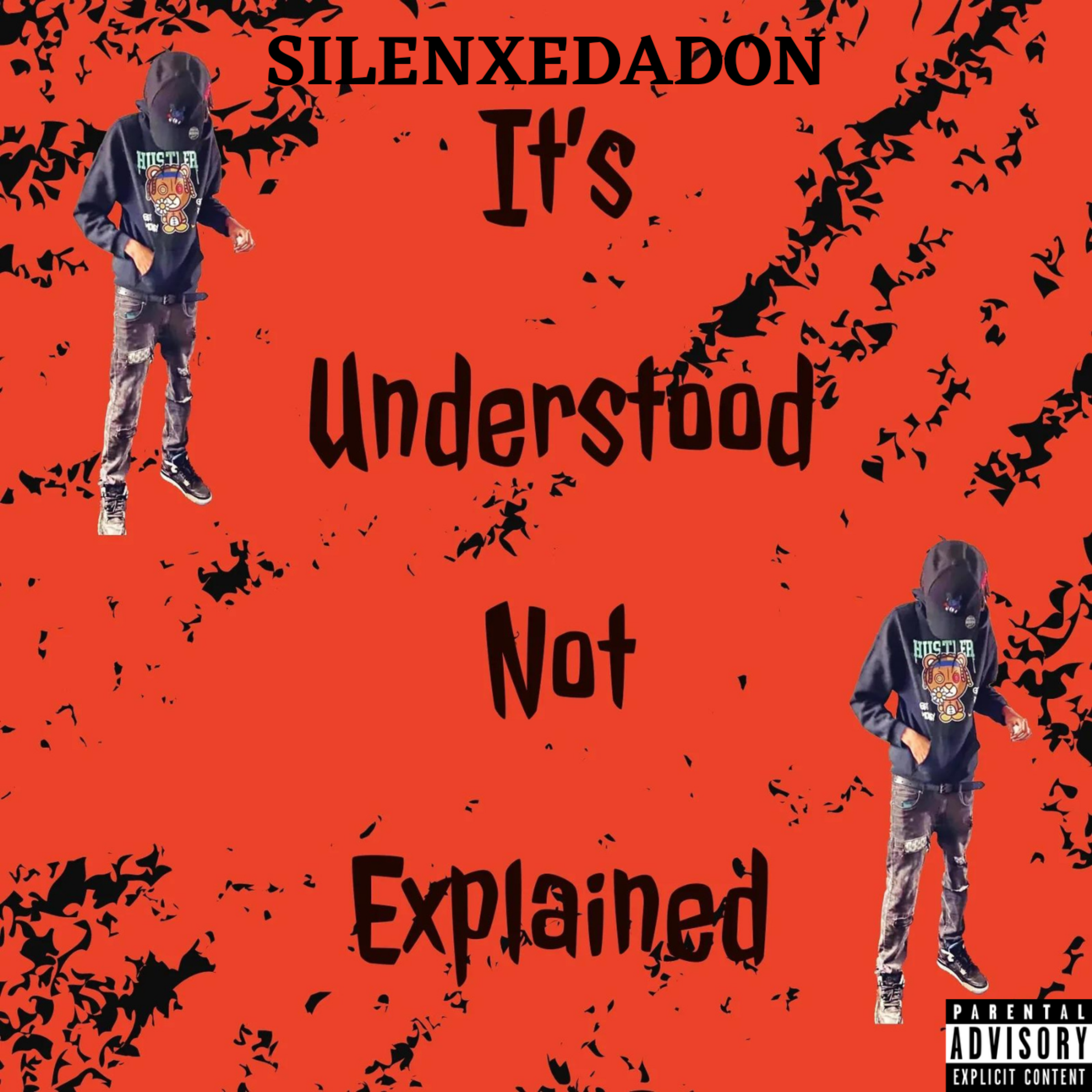 Its Understood Not Explained artwork