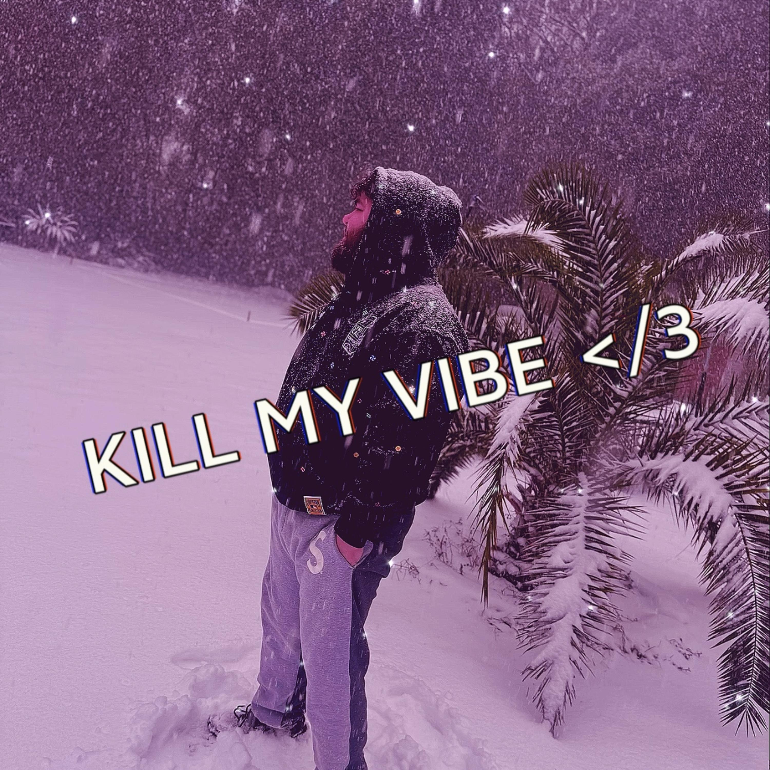 Kill My Vibe </3 artwork