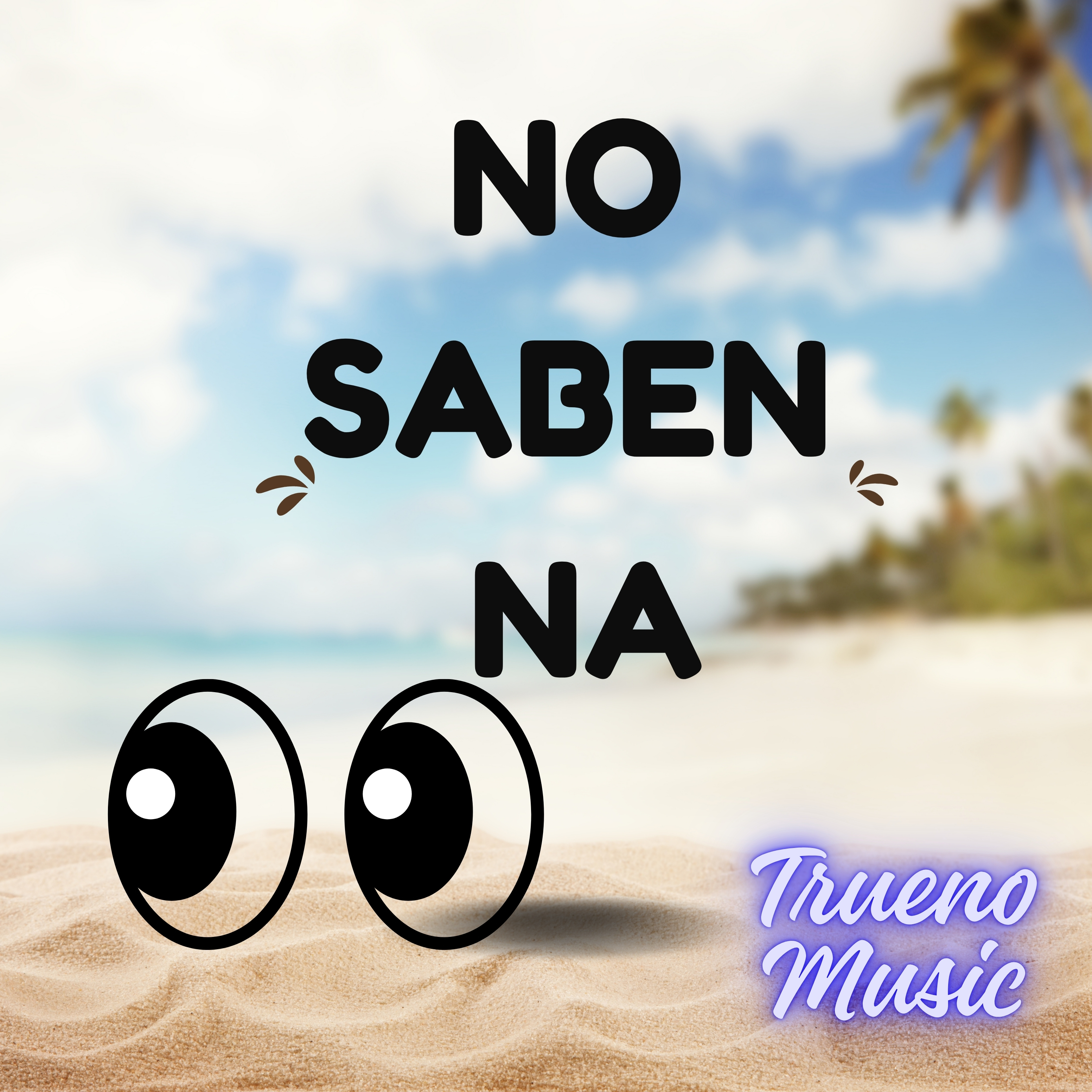 No saben na artwork