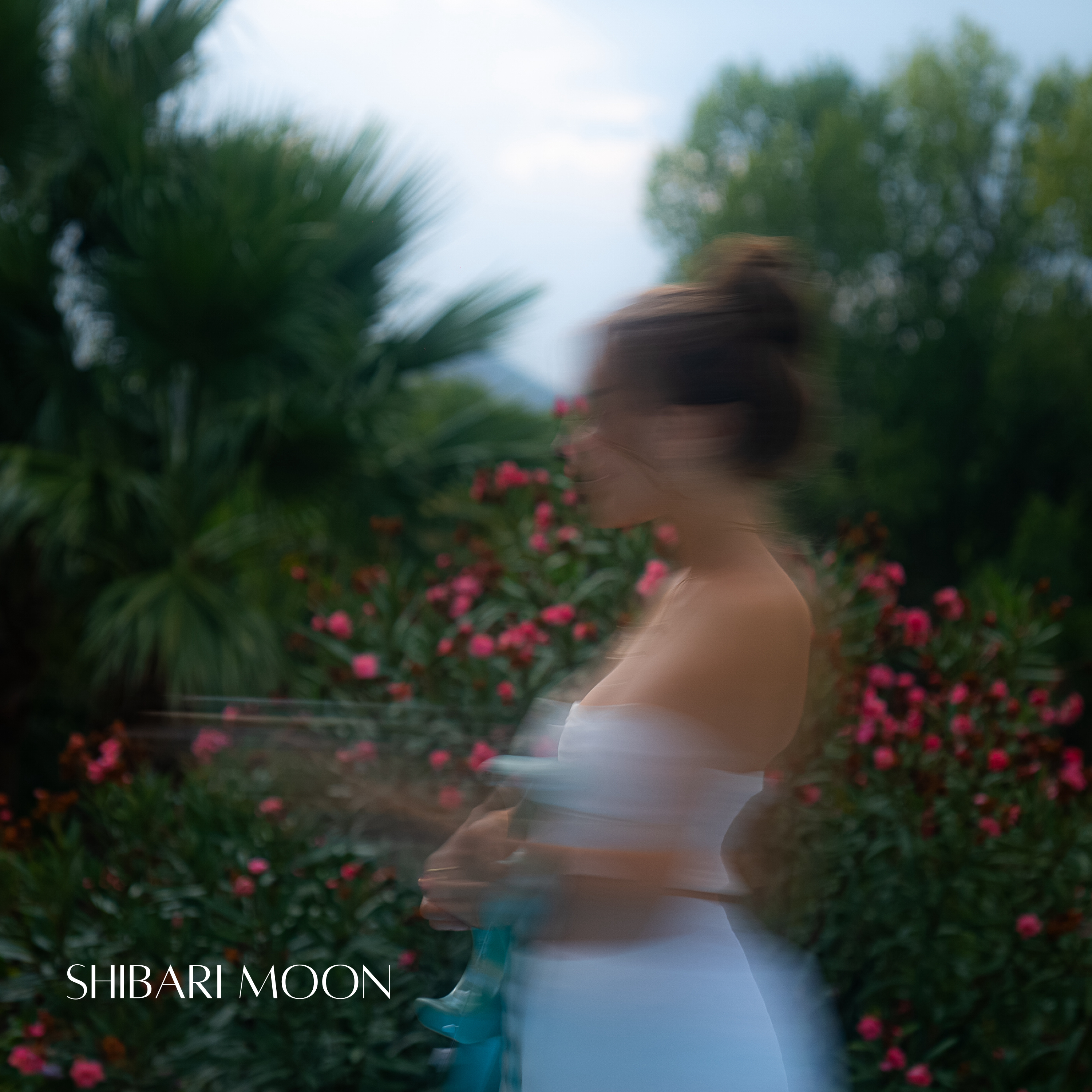 Shibari Moon artwork