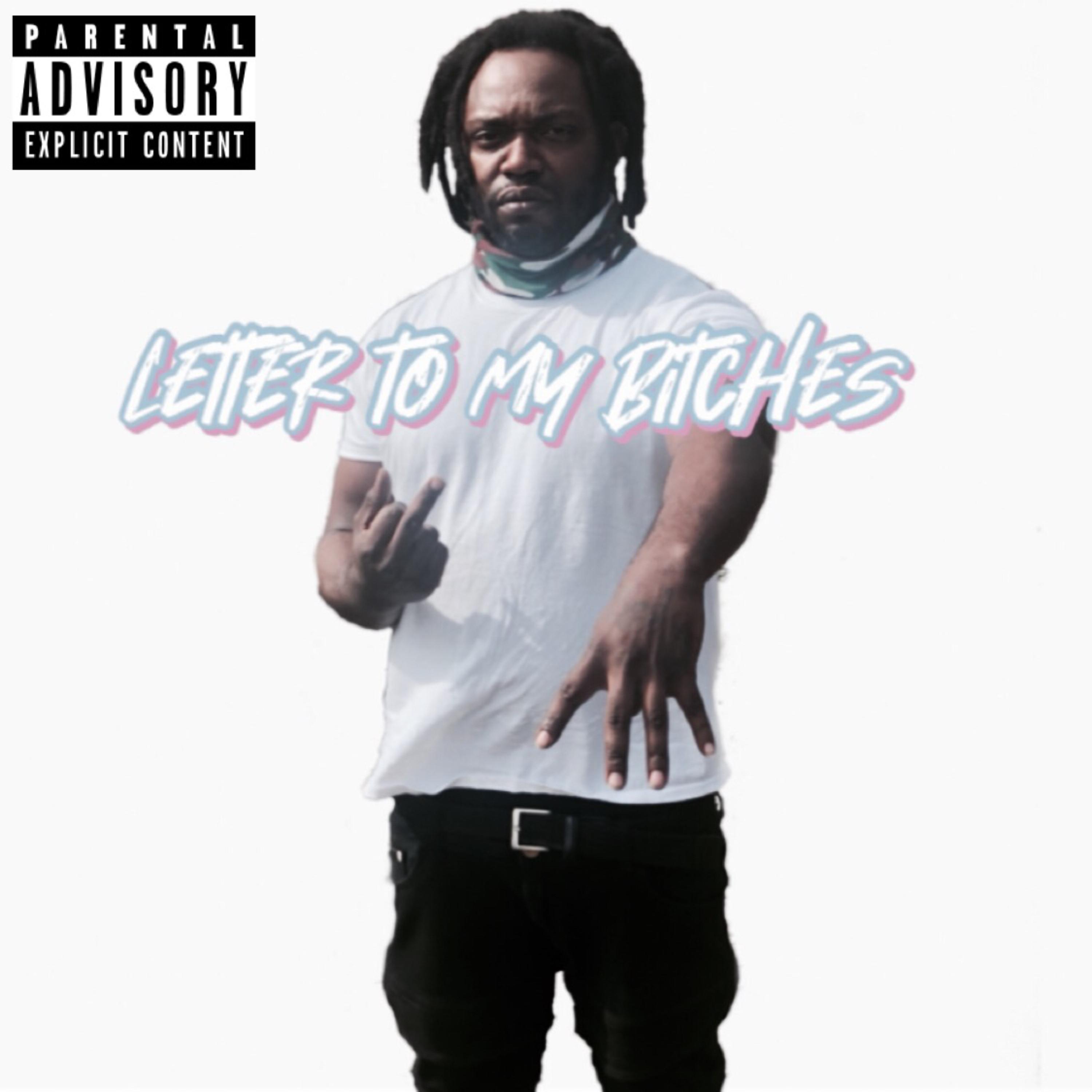 Letter To My Bitches artwork