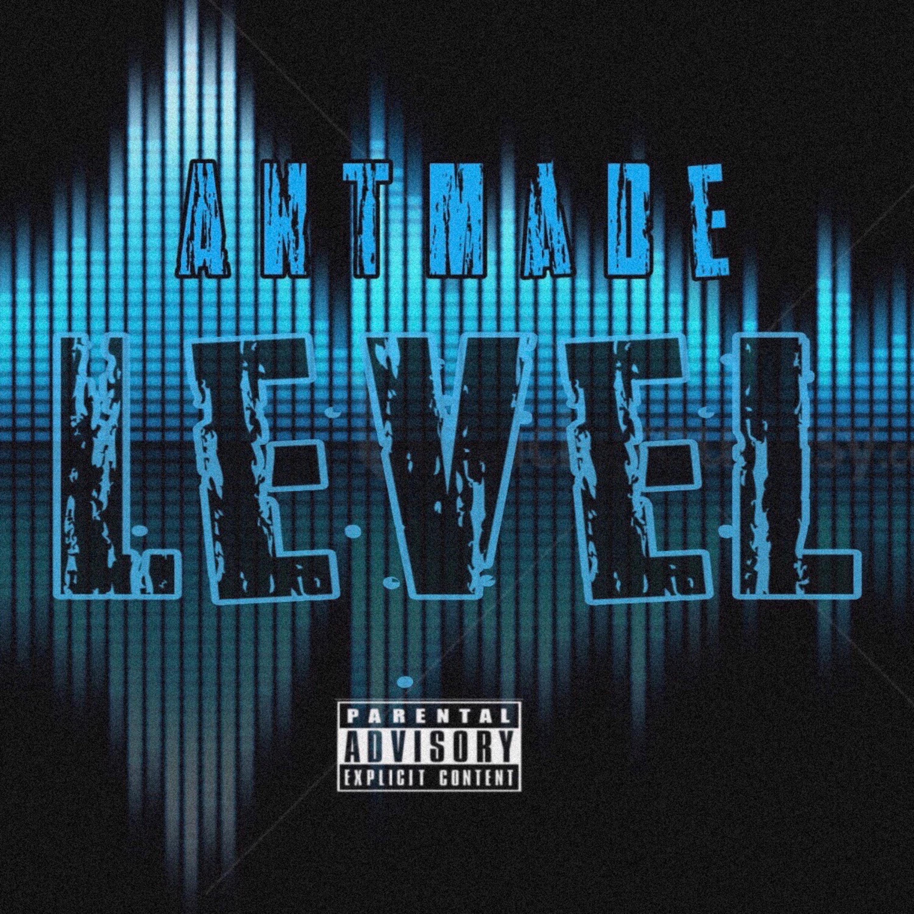 Level by AntMade cover art