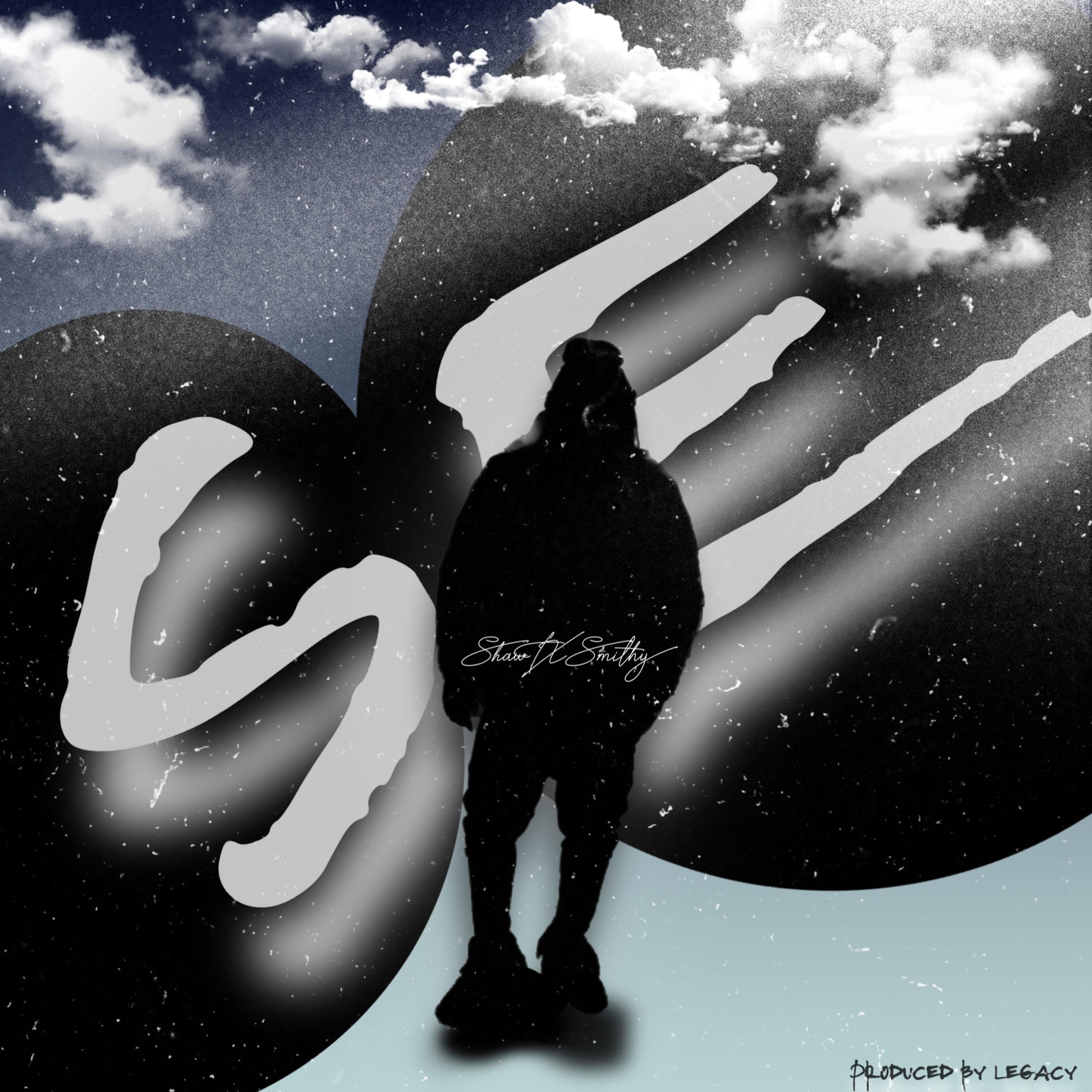 S.E artwork