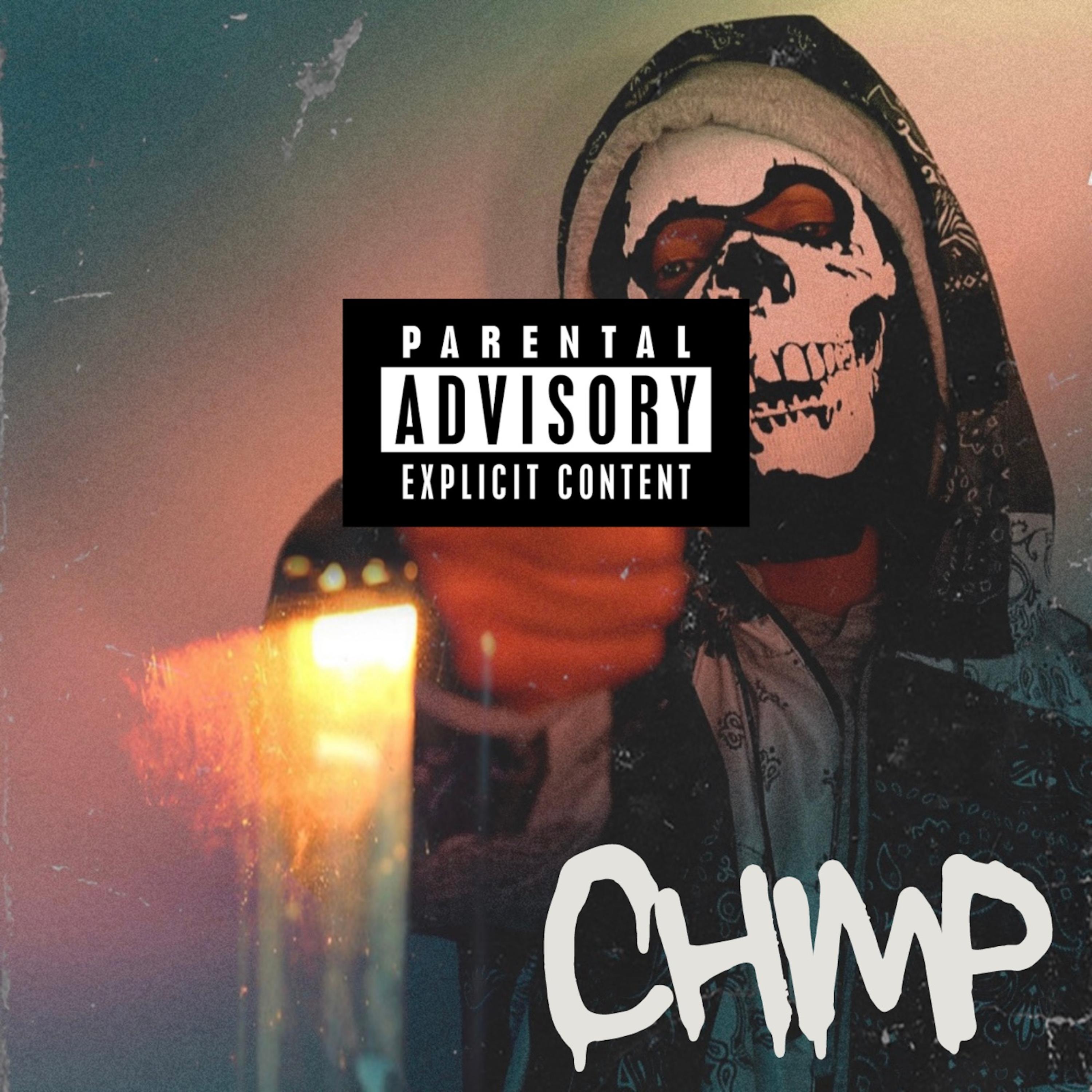 Chimp artwork