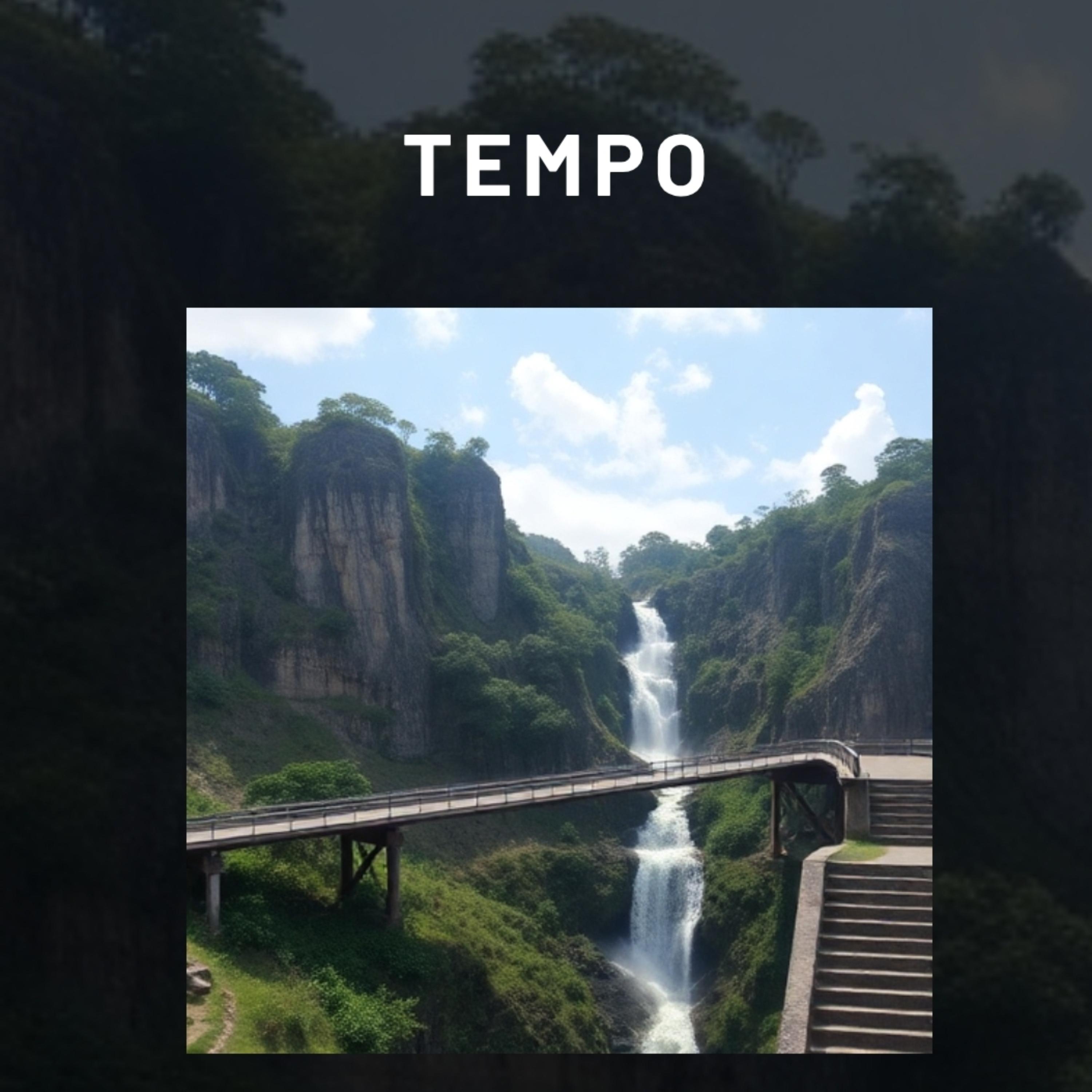 Tempo artwork