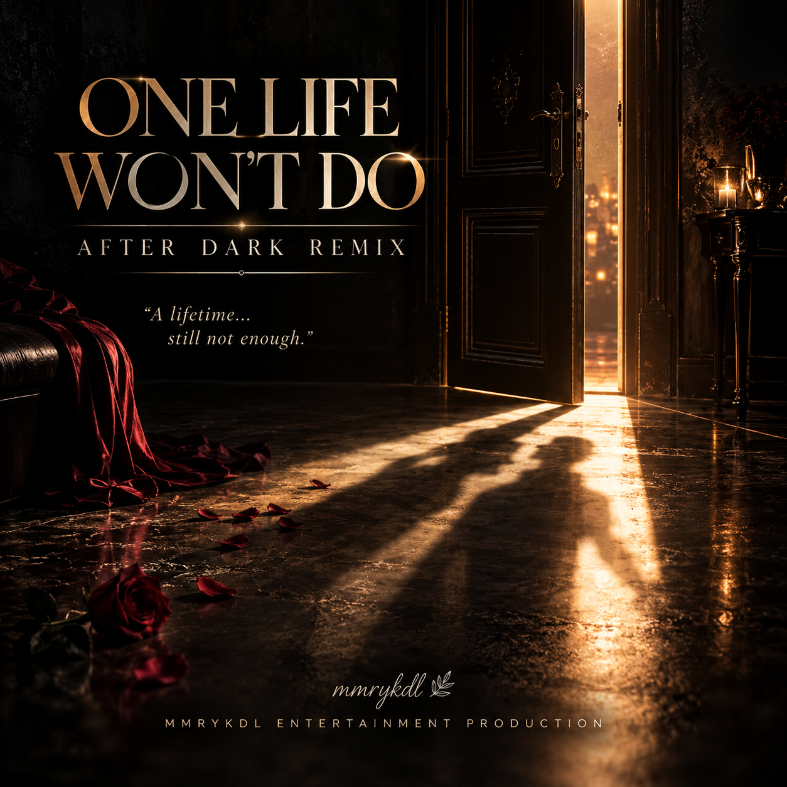 ONE LIFE WON’T DO (After Dark Remix) by MMRYKDL cover art