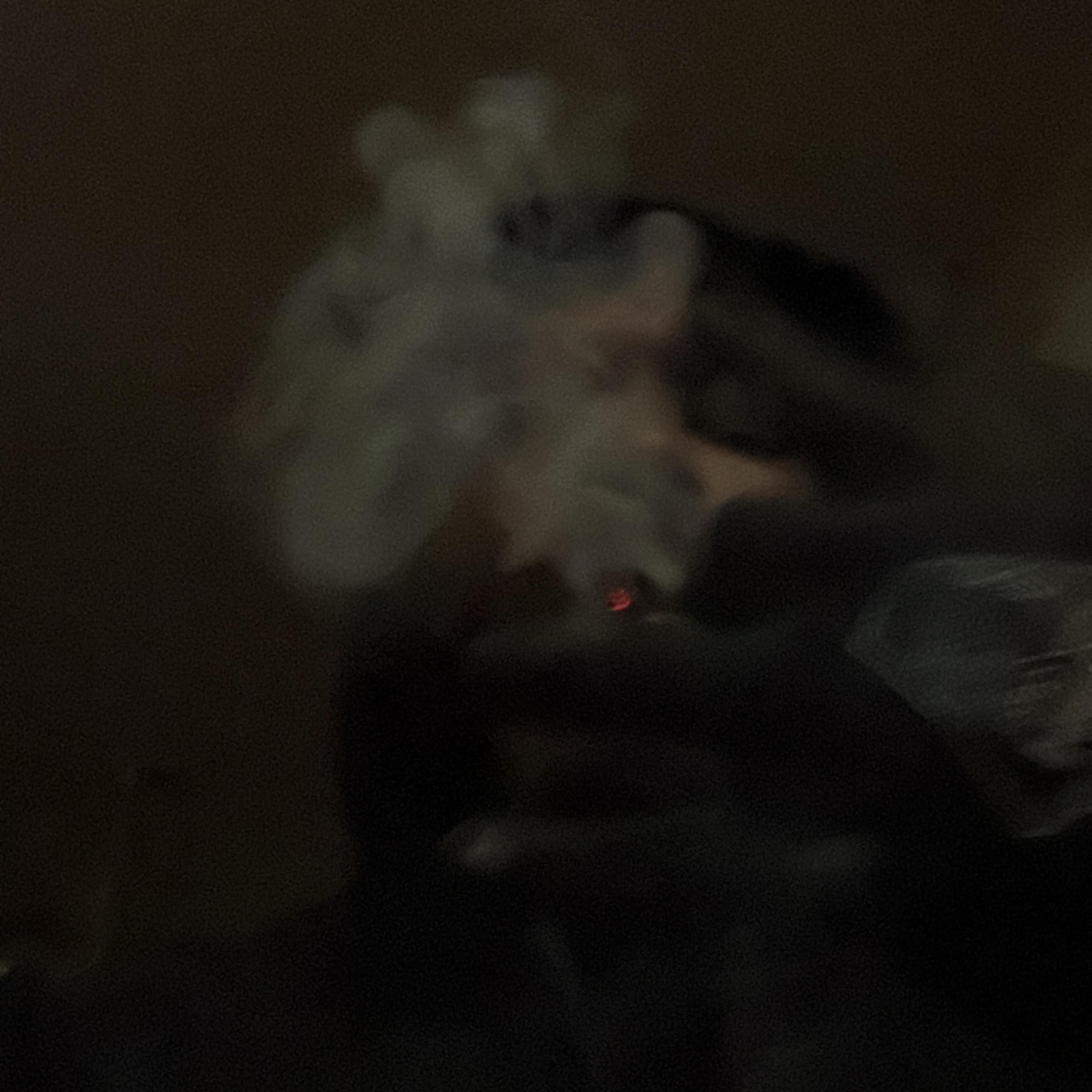 tryin not ta kuss artwork