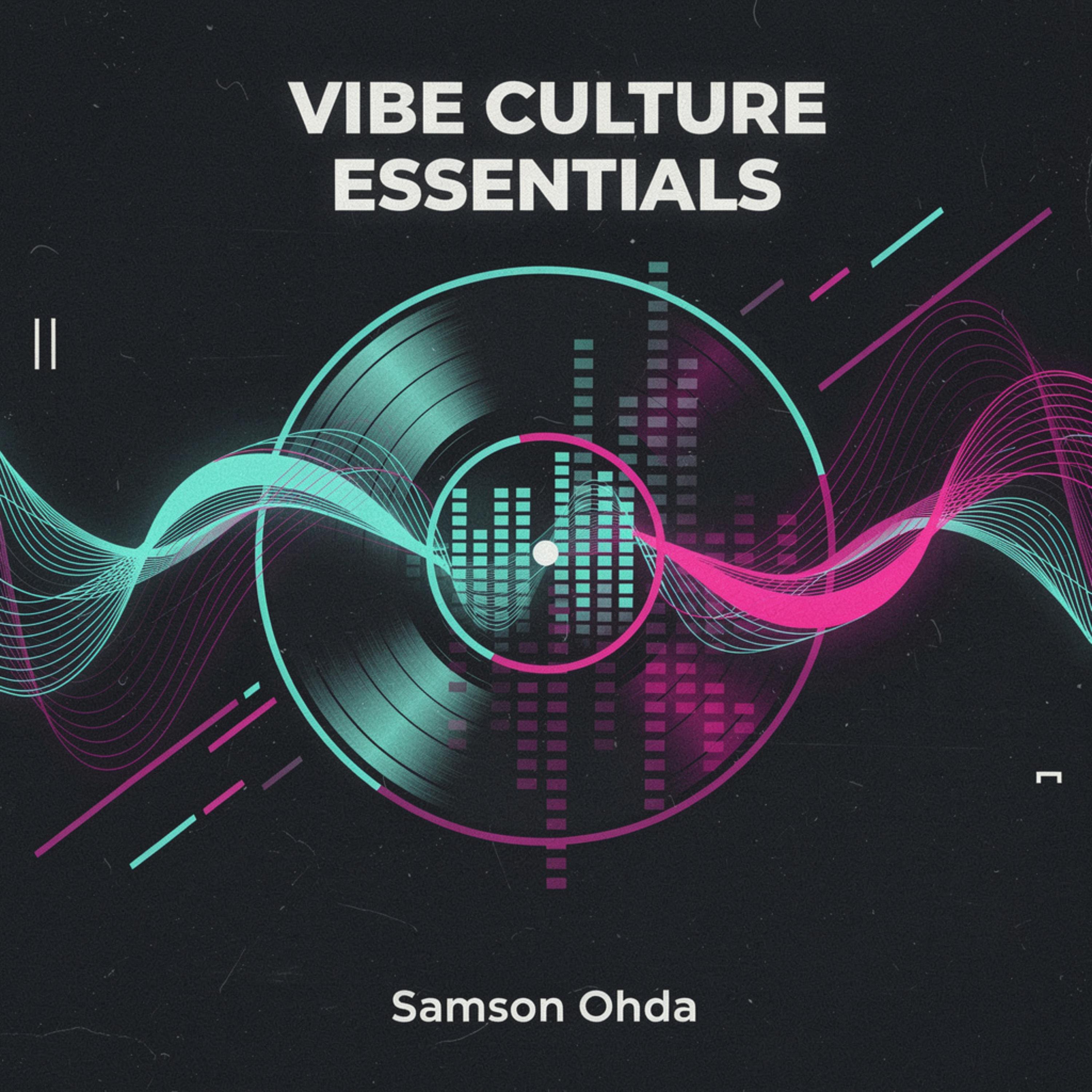 Vibe Culture Essentials artwork