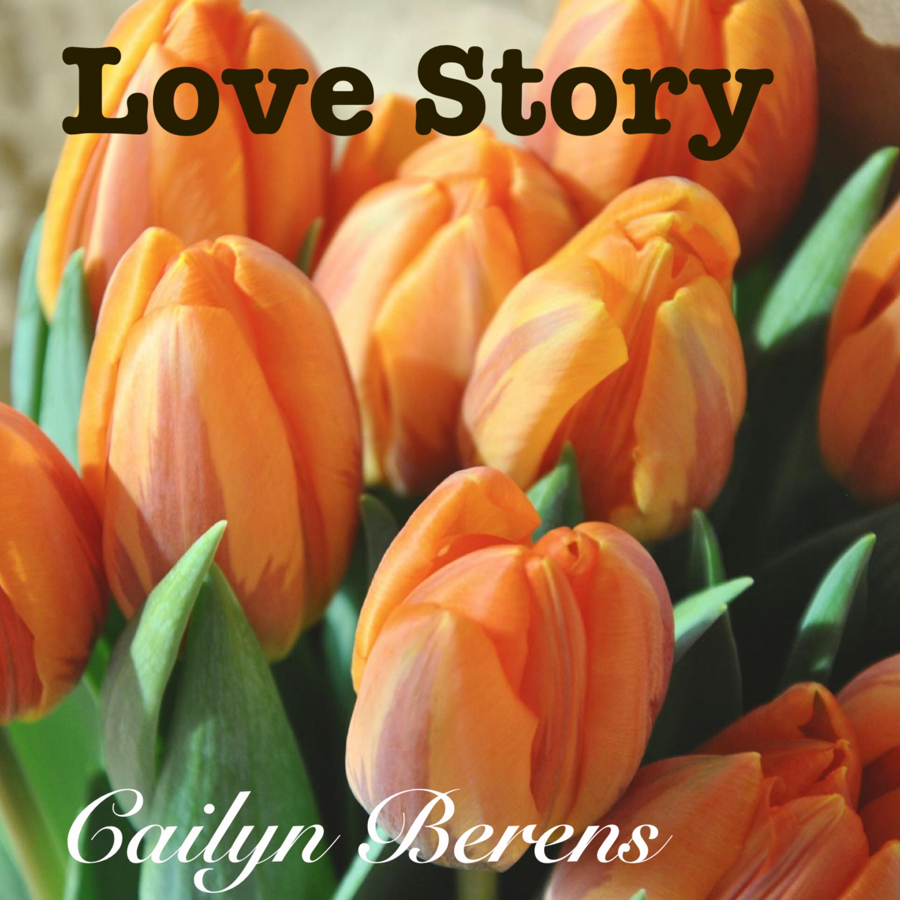 Love Story artwork