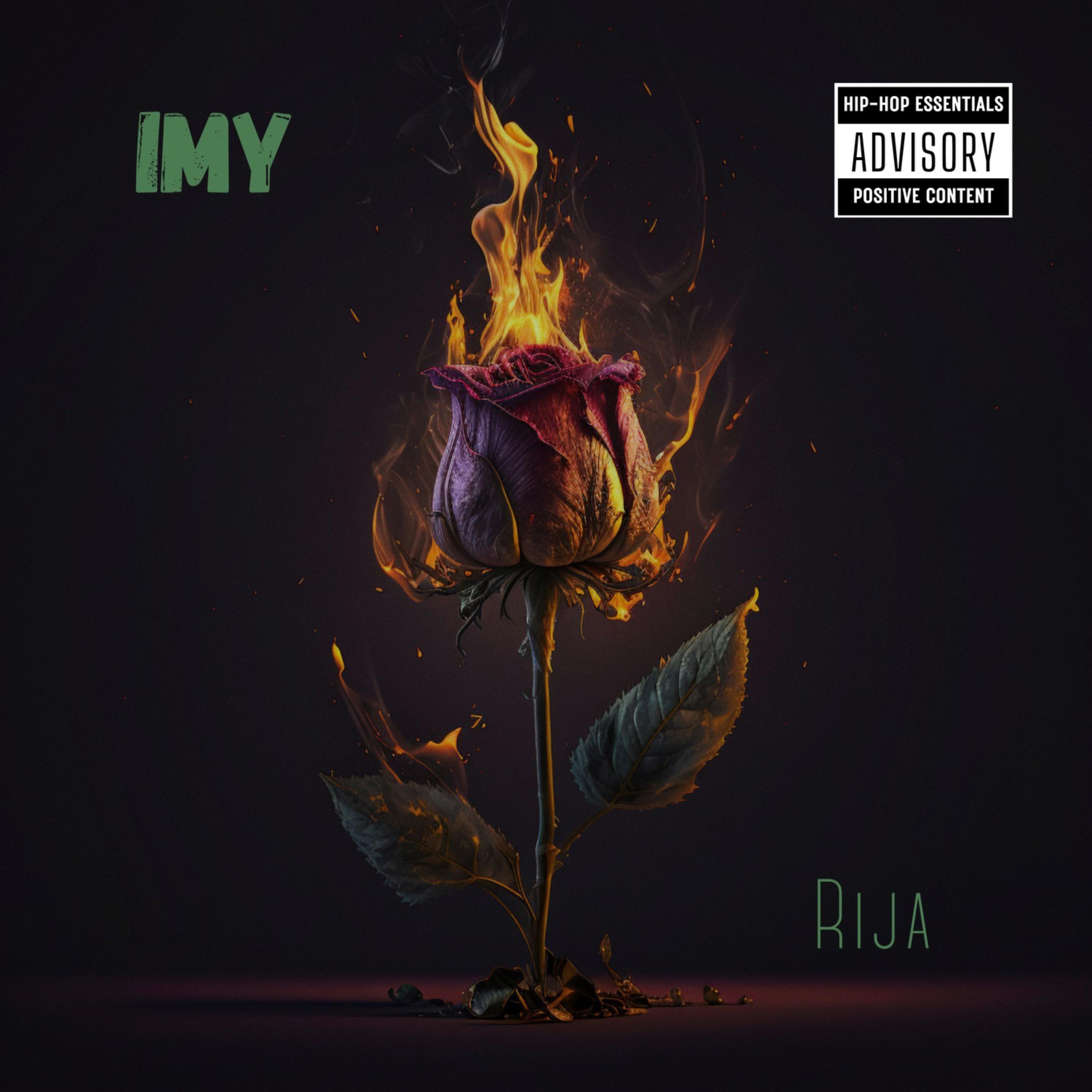 IMY artwork