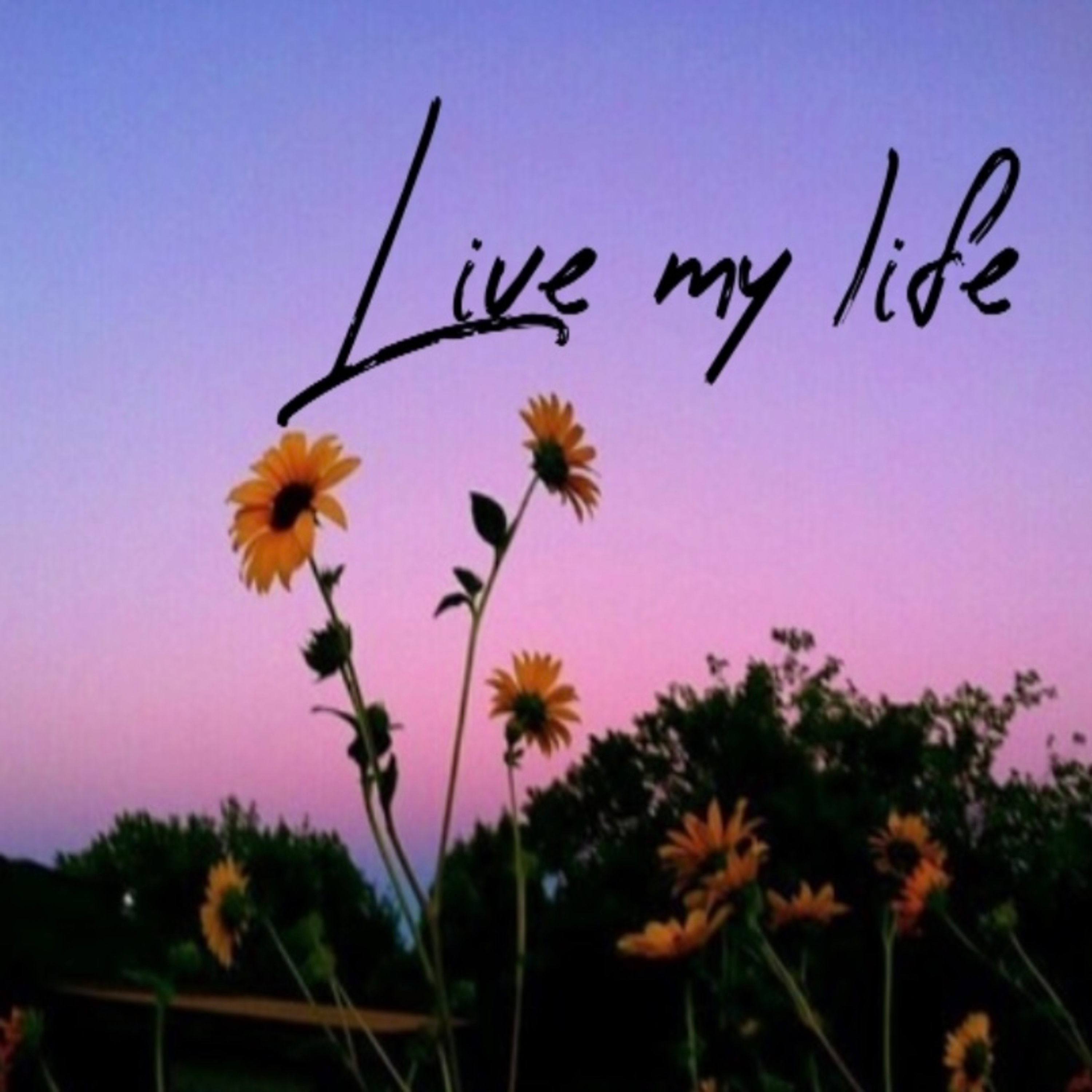 Live My Life artwork