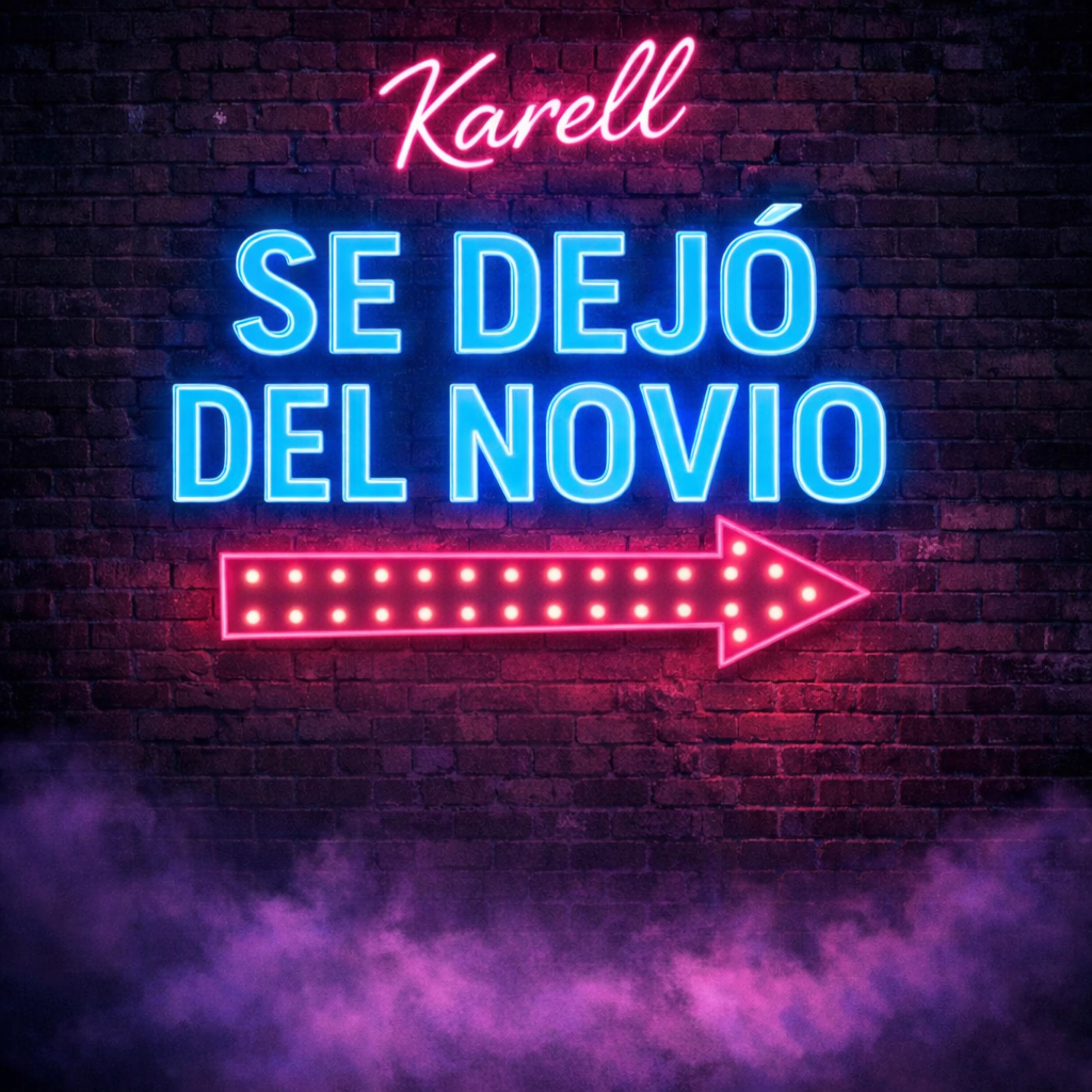 sE dEJo Del nOVIo artwork
