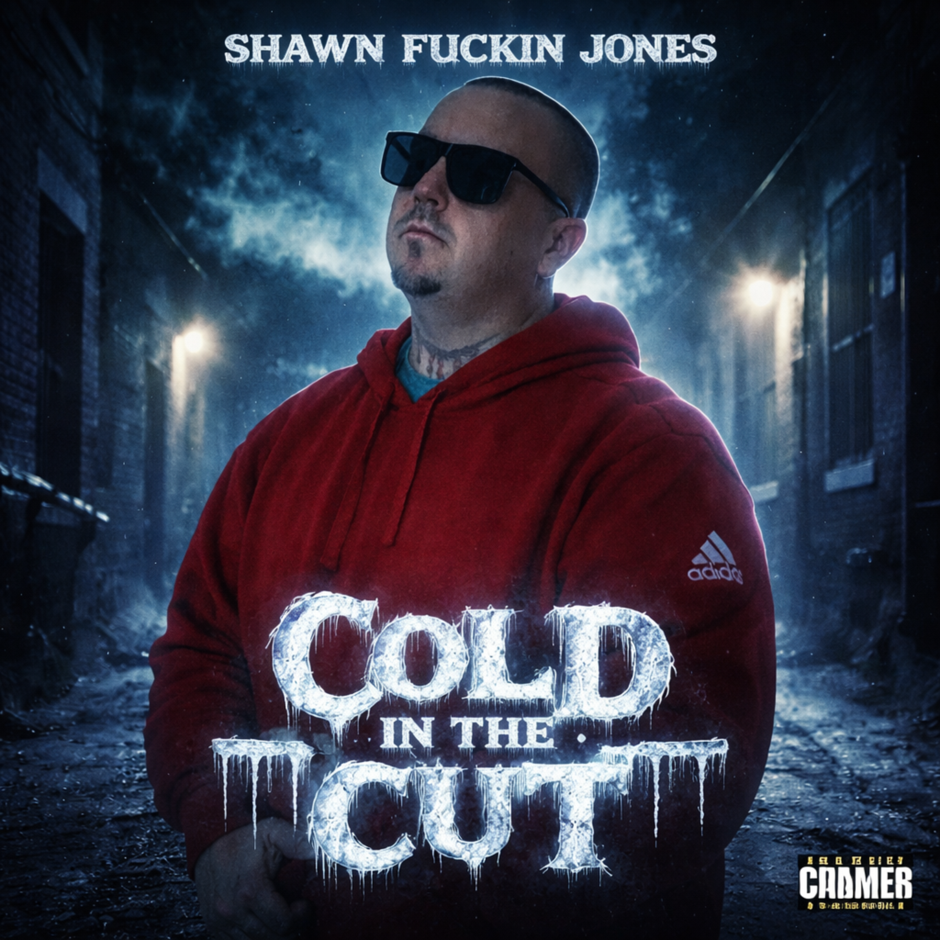 Cold In The Cut artwork