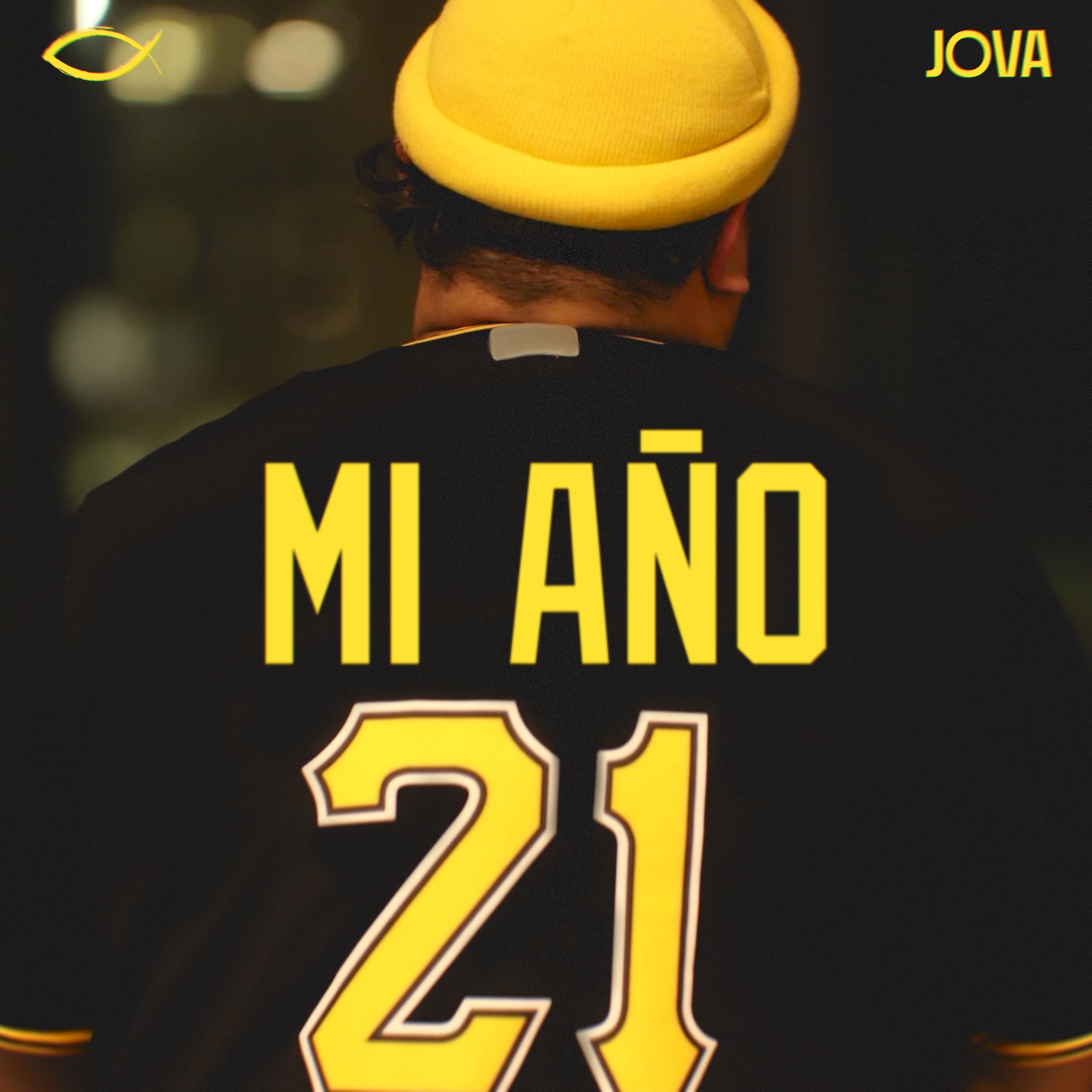 MI AÑO artwork
