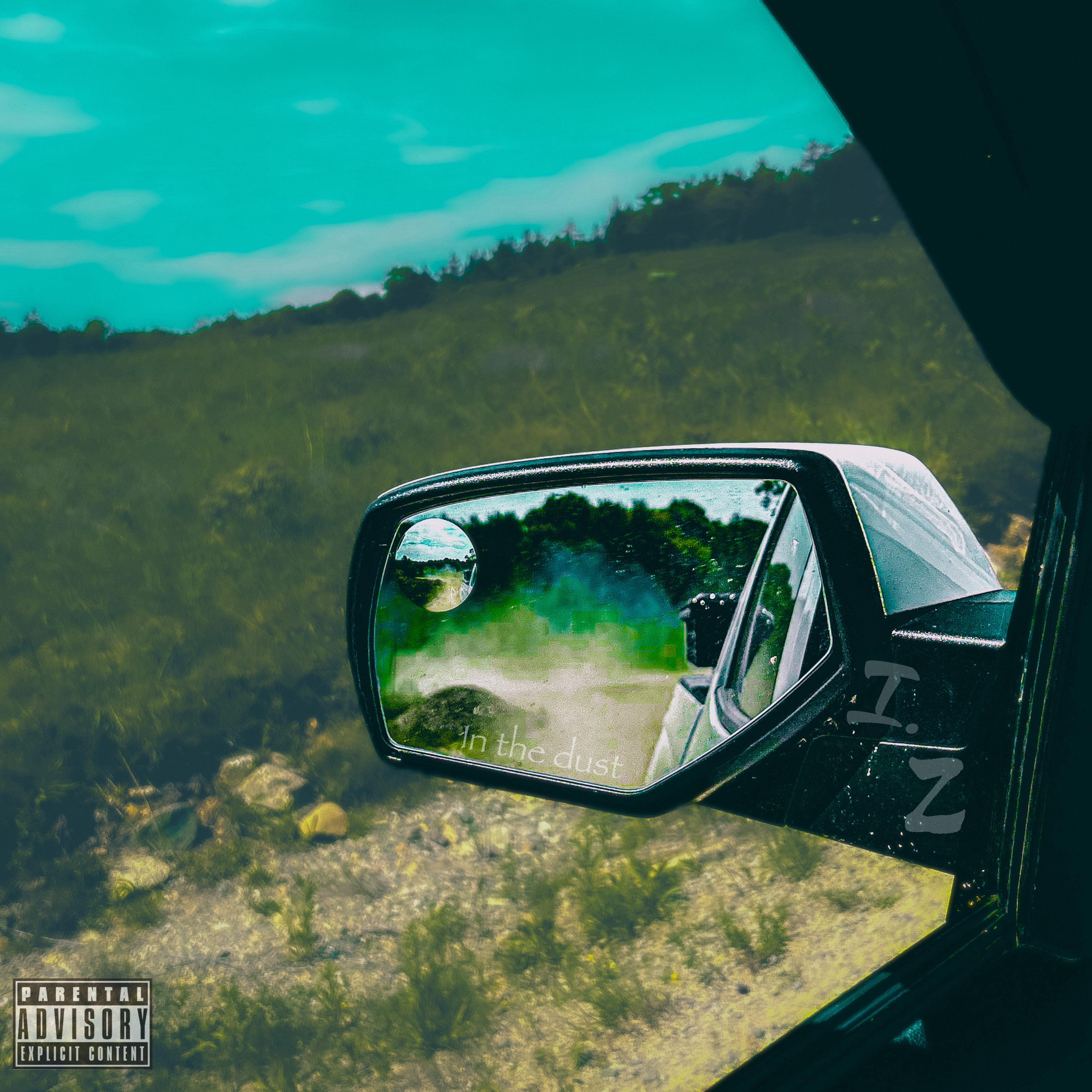 In the dust artwork