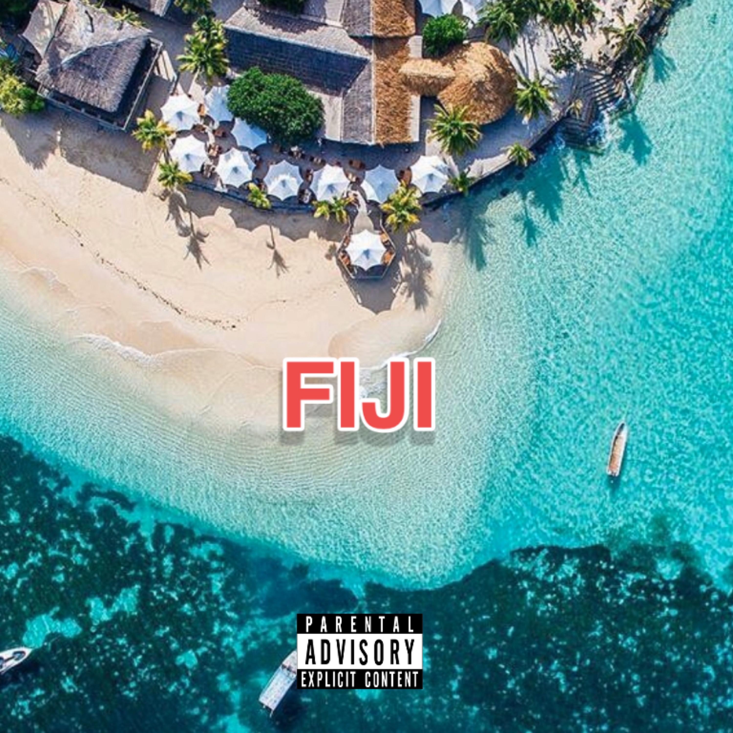 FIJI artwork