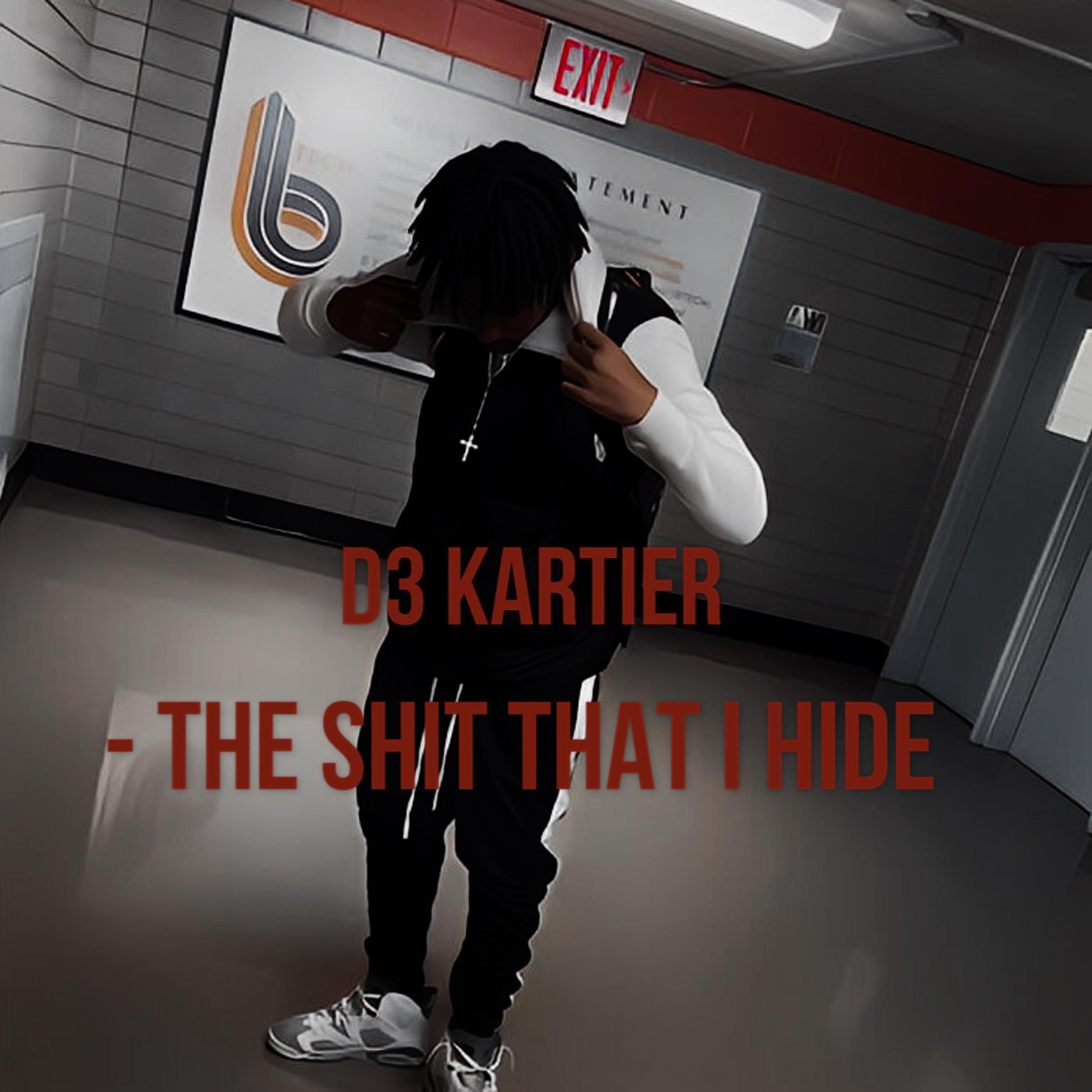 The Shit That I Hide artwork