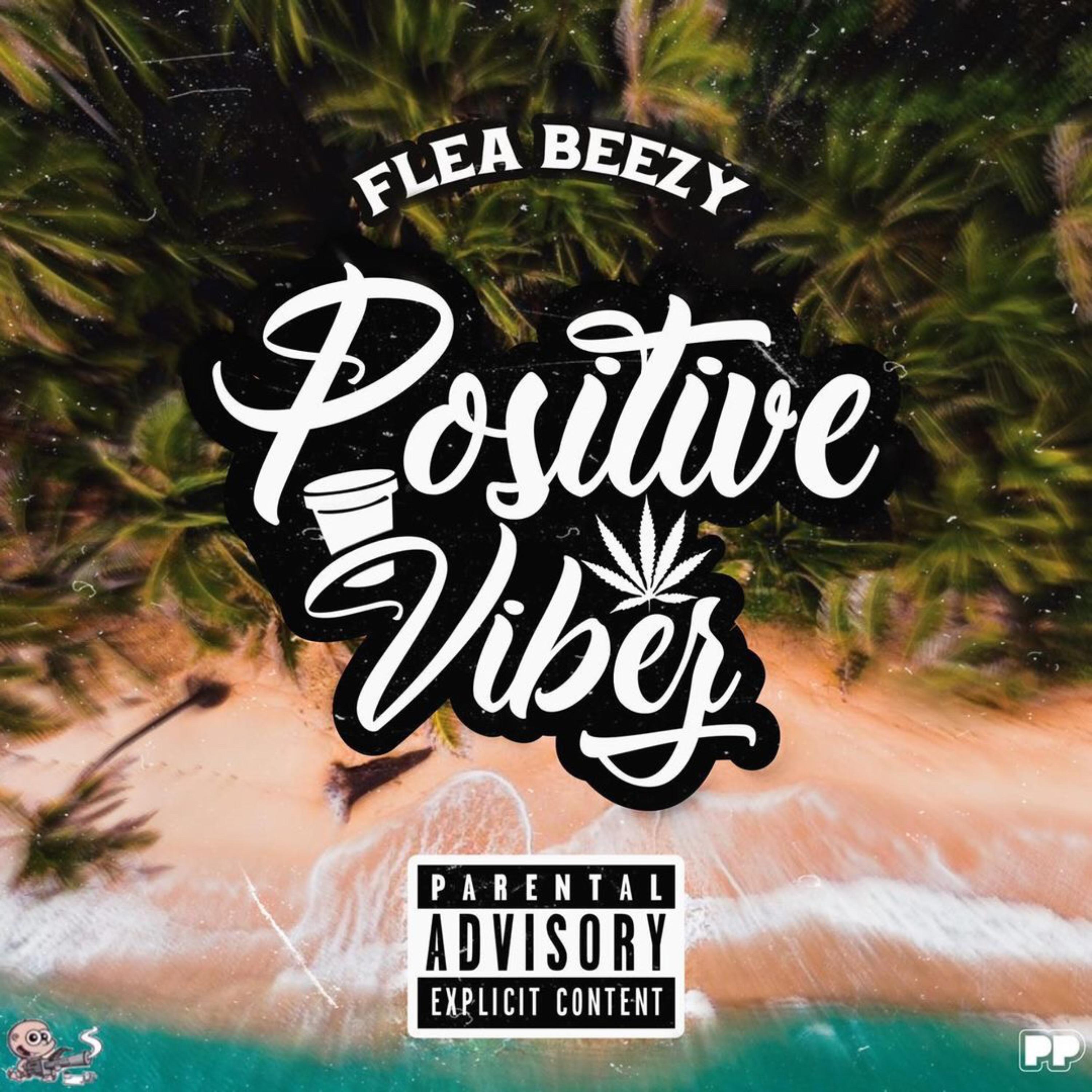 Positive VibeZ artwork