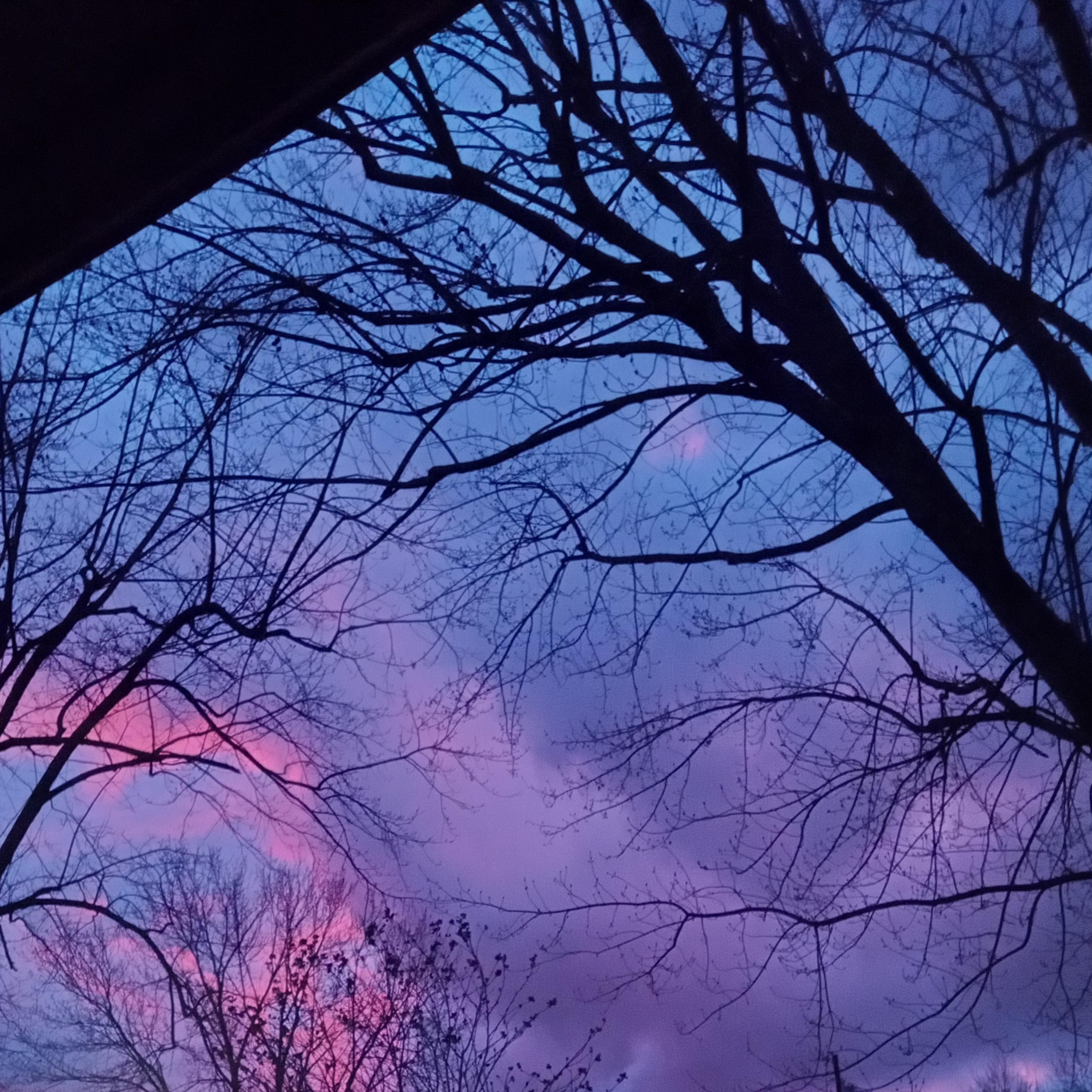 Not in Belle Mina artwork