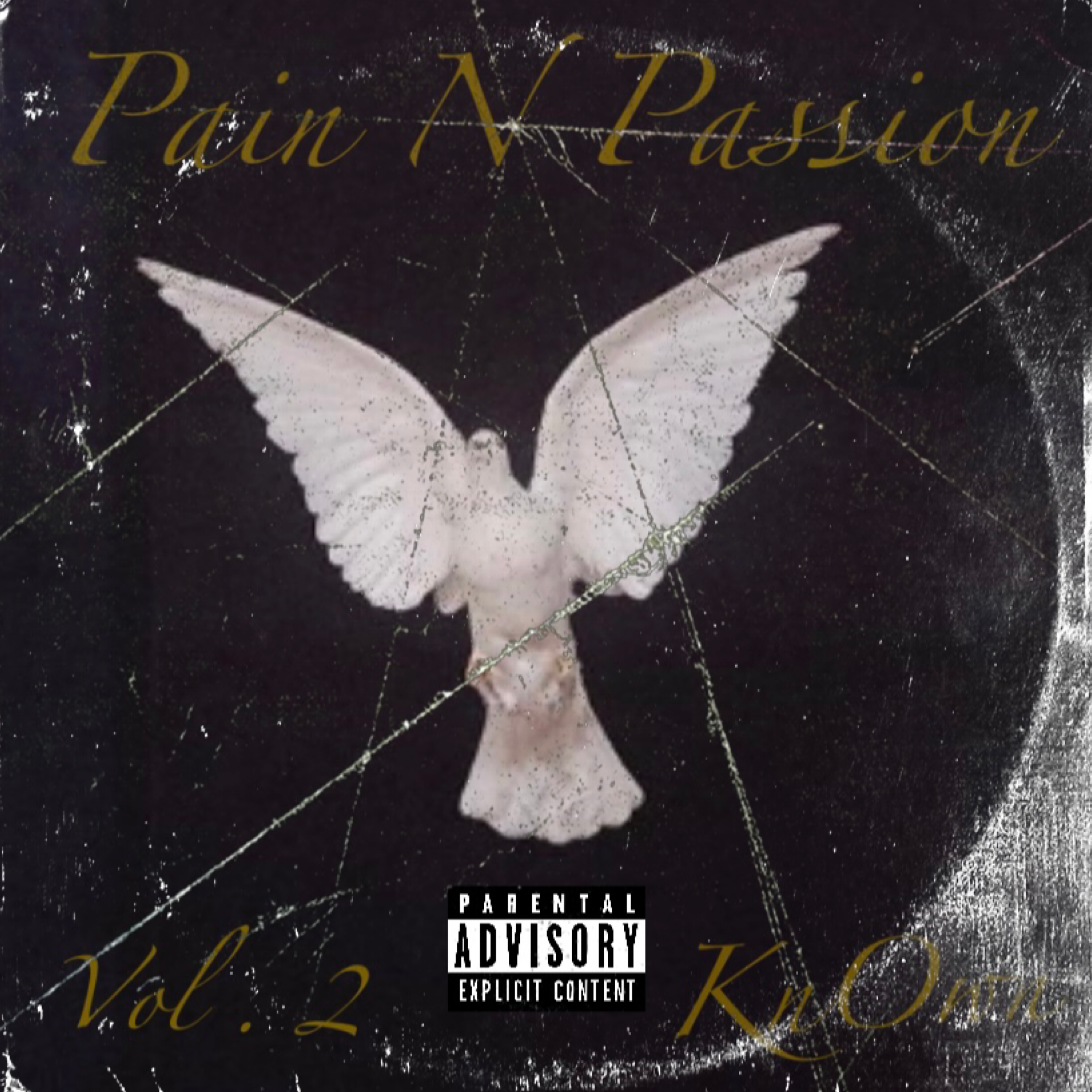 Pain N Passion Vol. 2 artwork