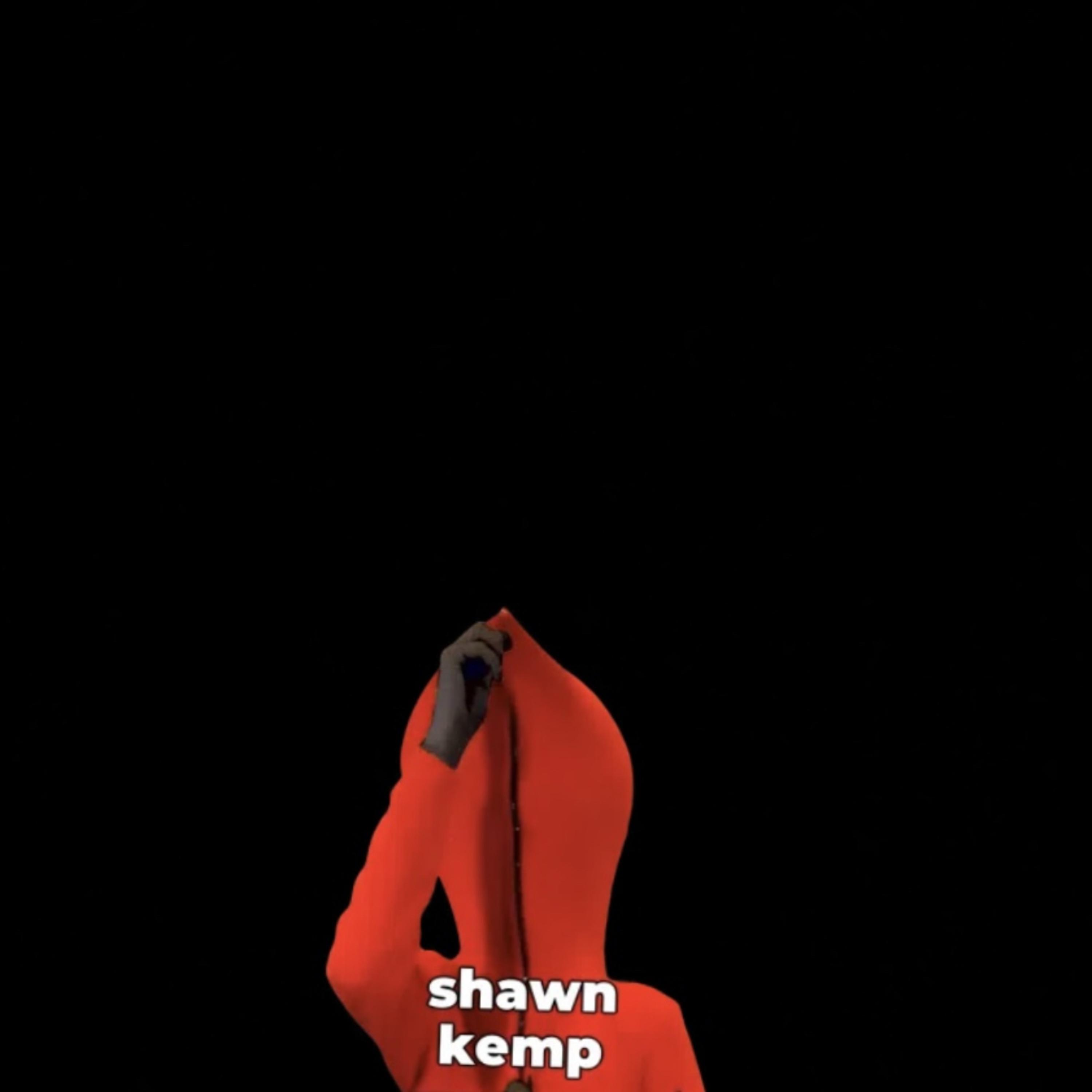 Shawn Kemp artwork