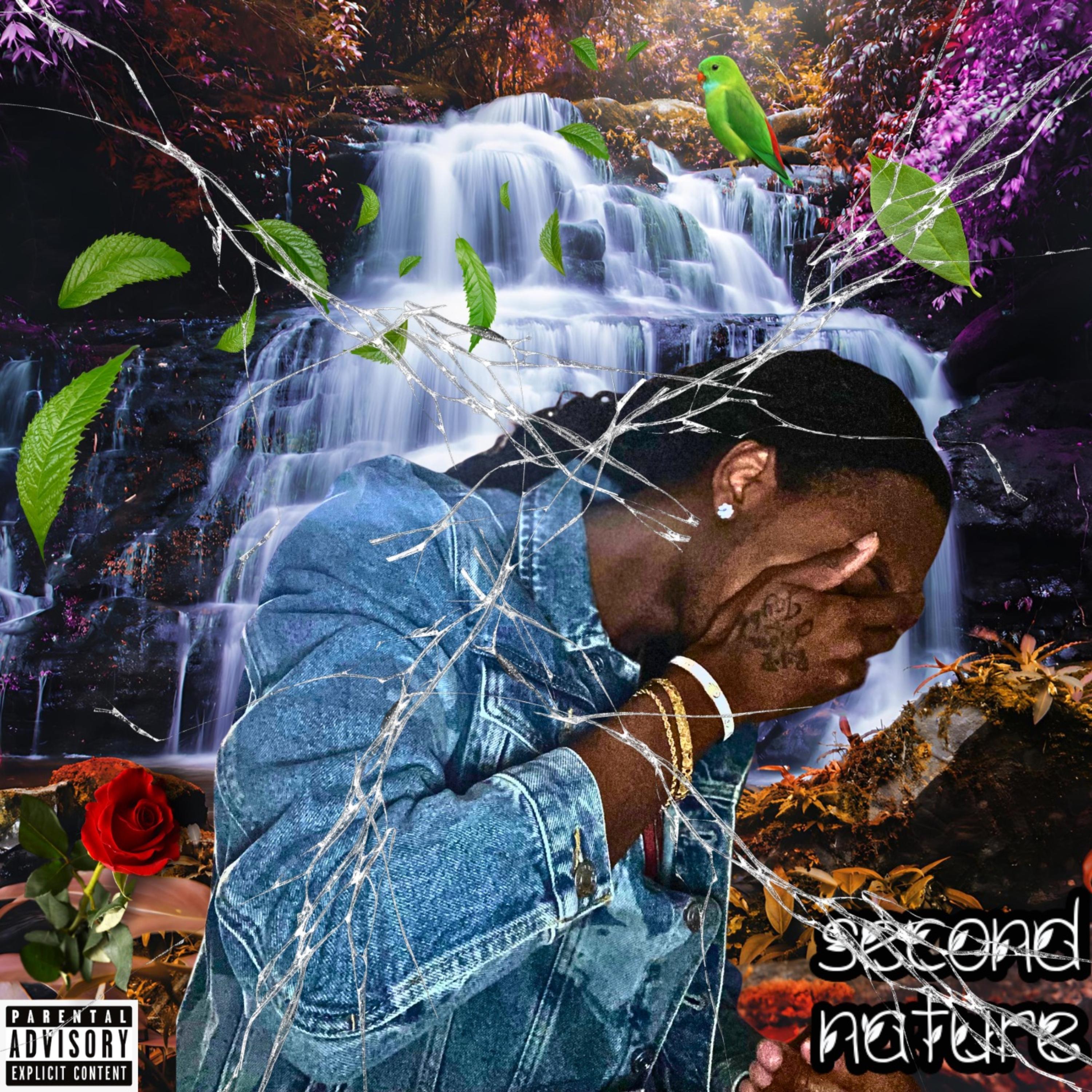 Second Nature artwork