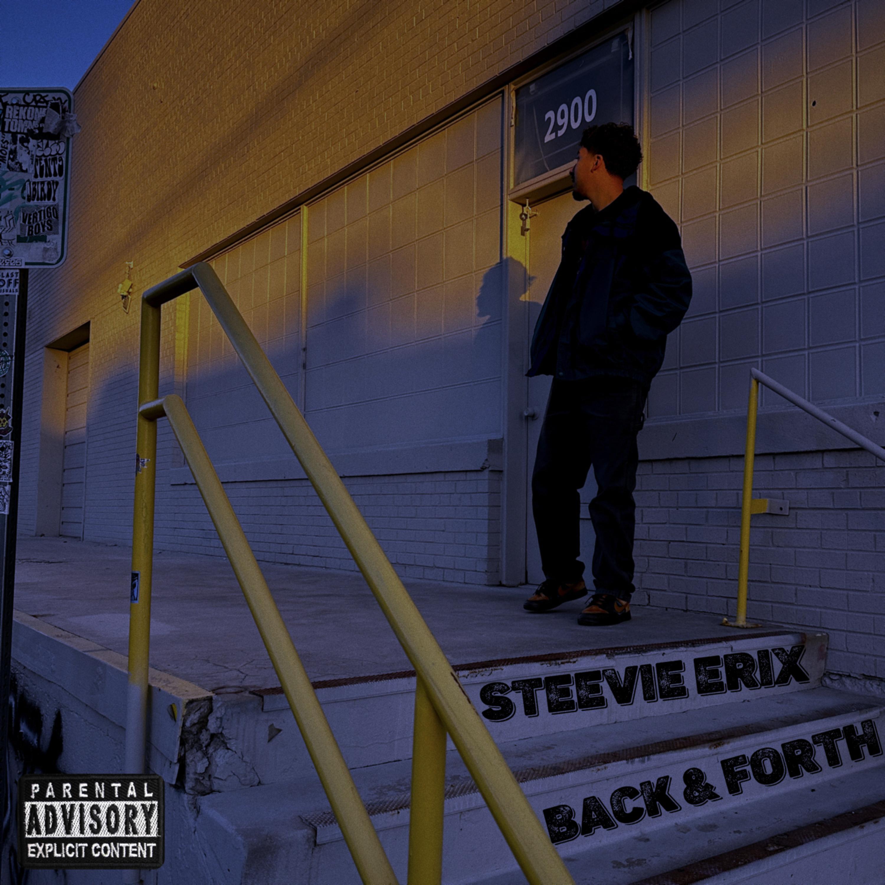 Back & Forth by Steevie Erix cover art