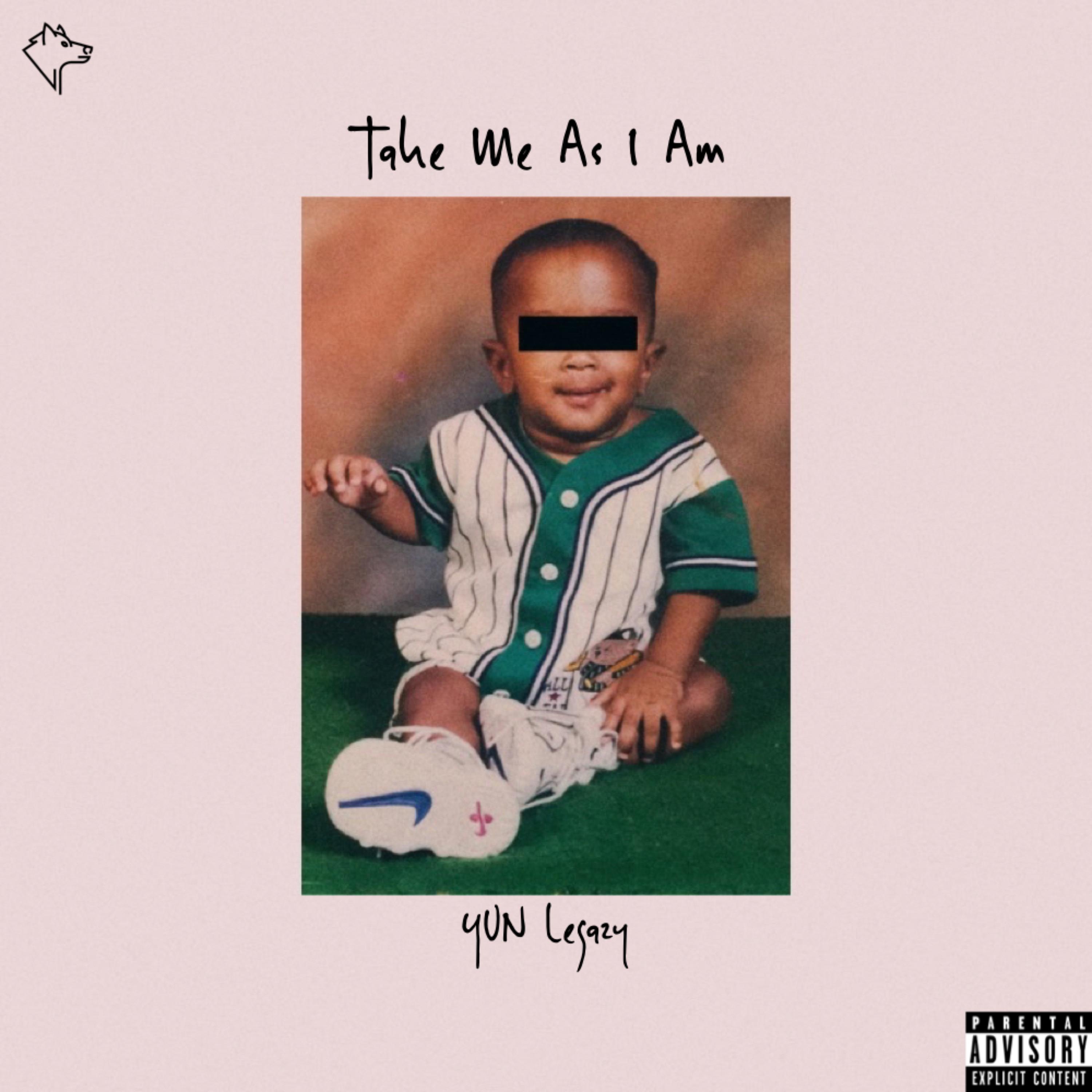 Take Me As I Am artwork