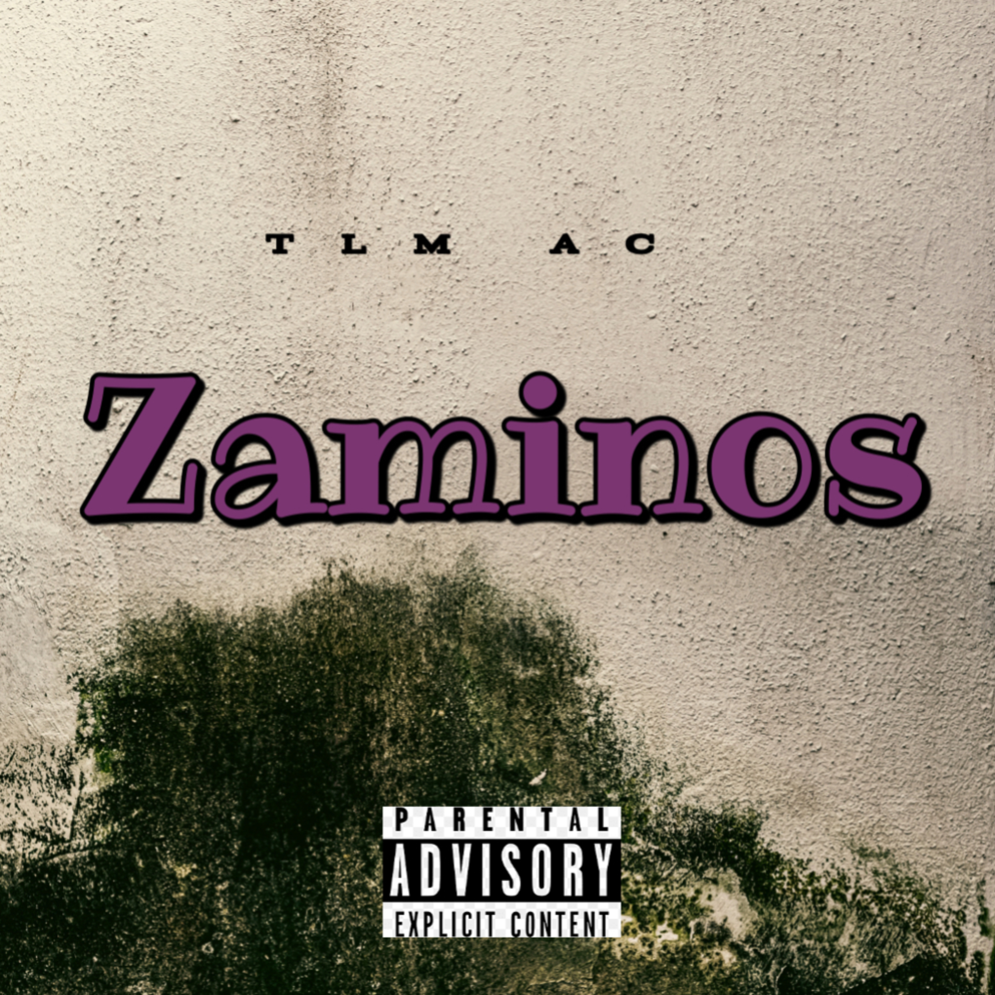 Zaminos by Tlm.AC cover art