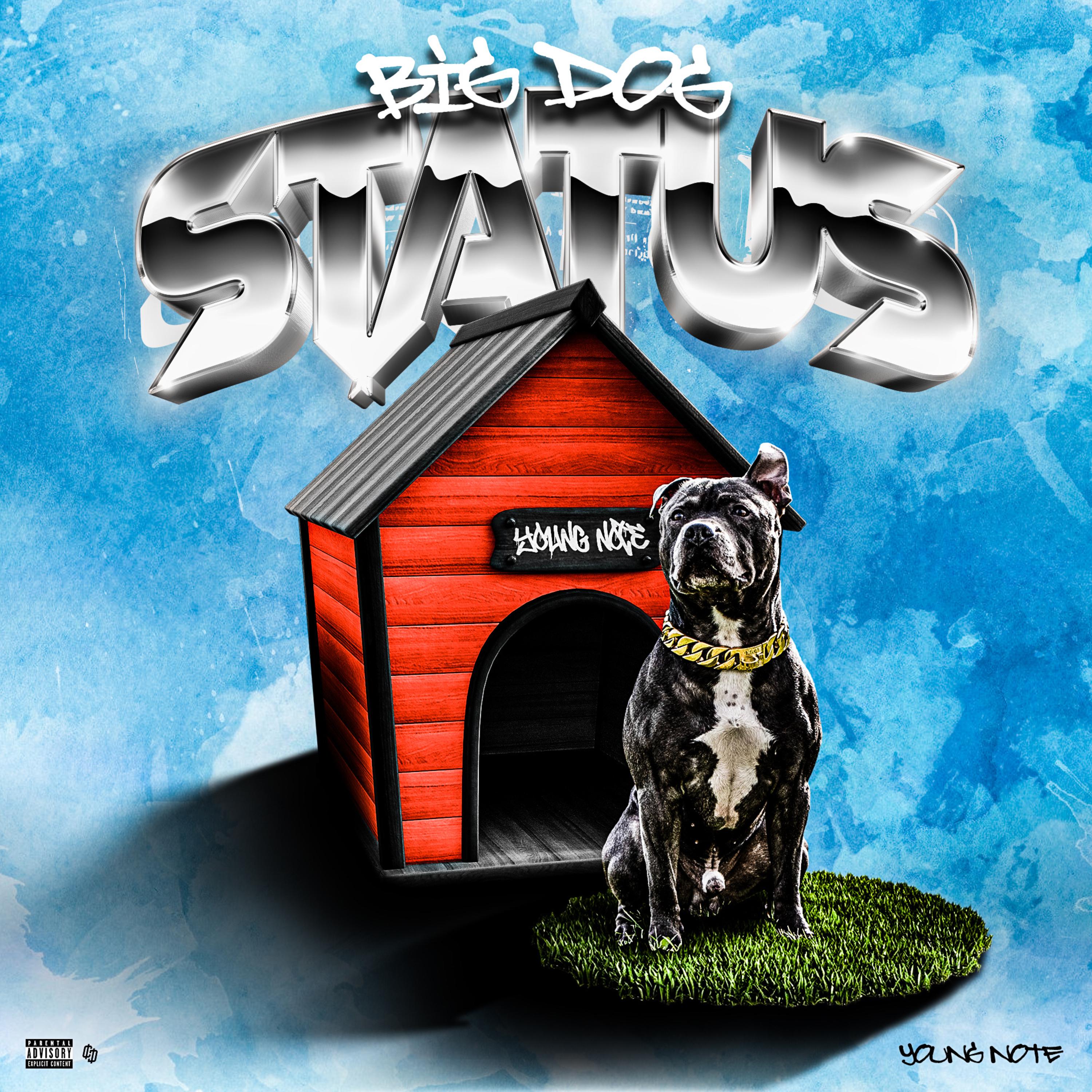 Big Dog Status artwork